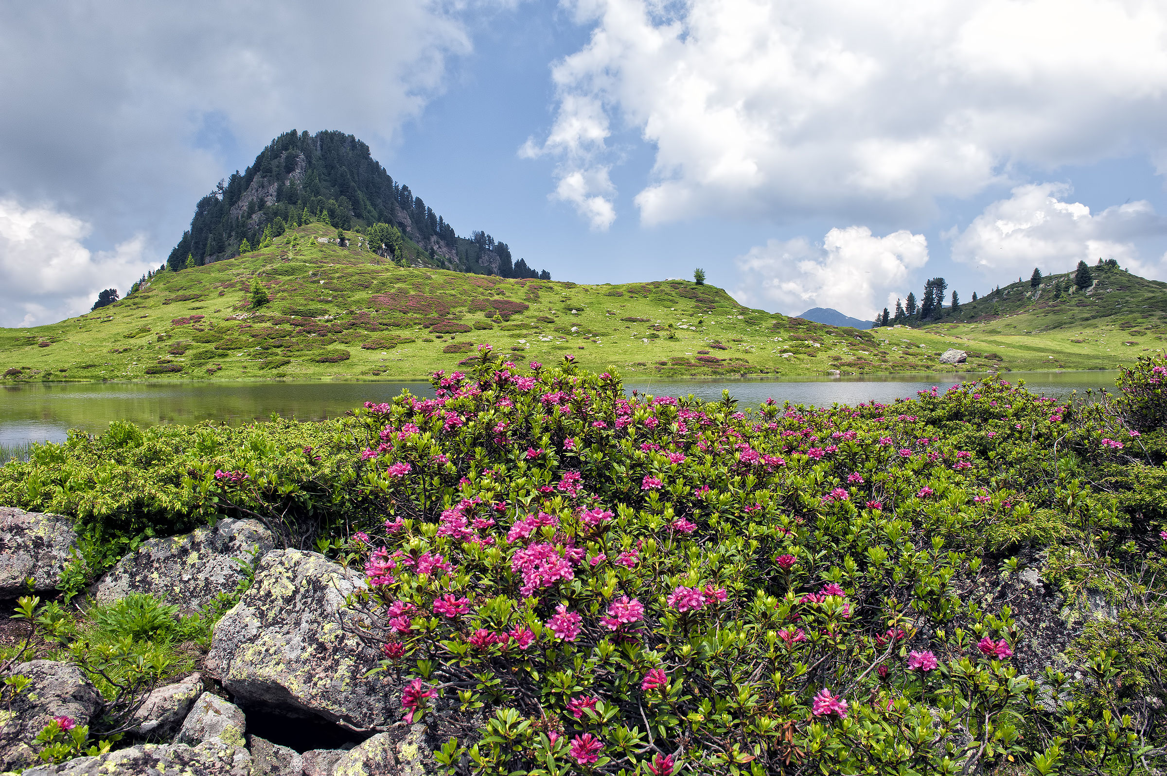 vi regalo questa cartolina della mia terra vista oggi c