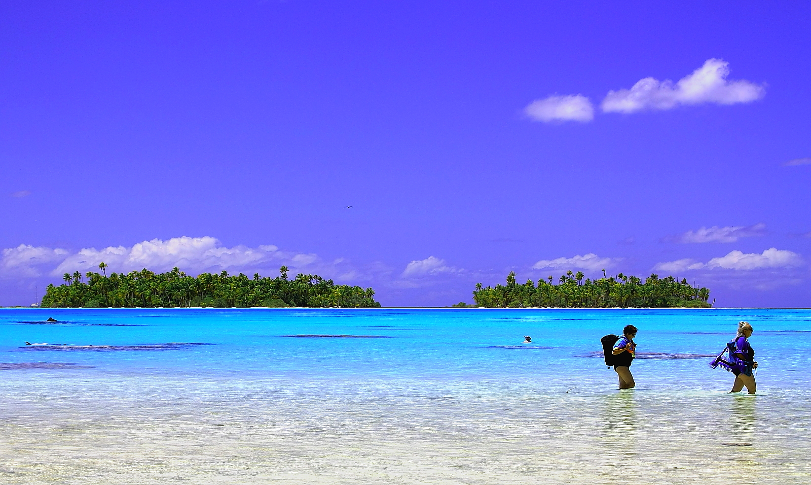 Desire for the sea , Rangiroa