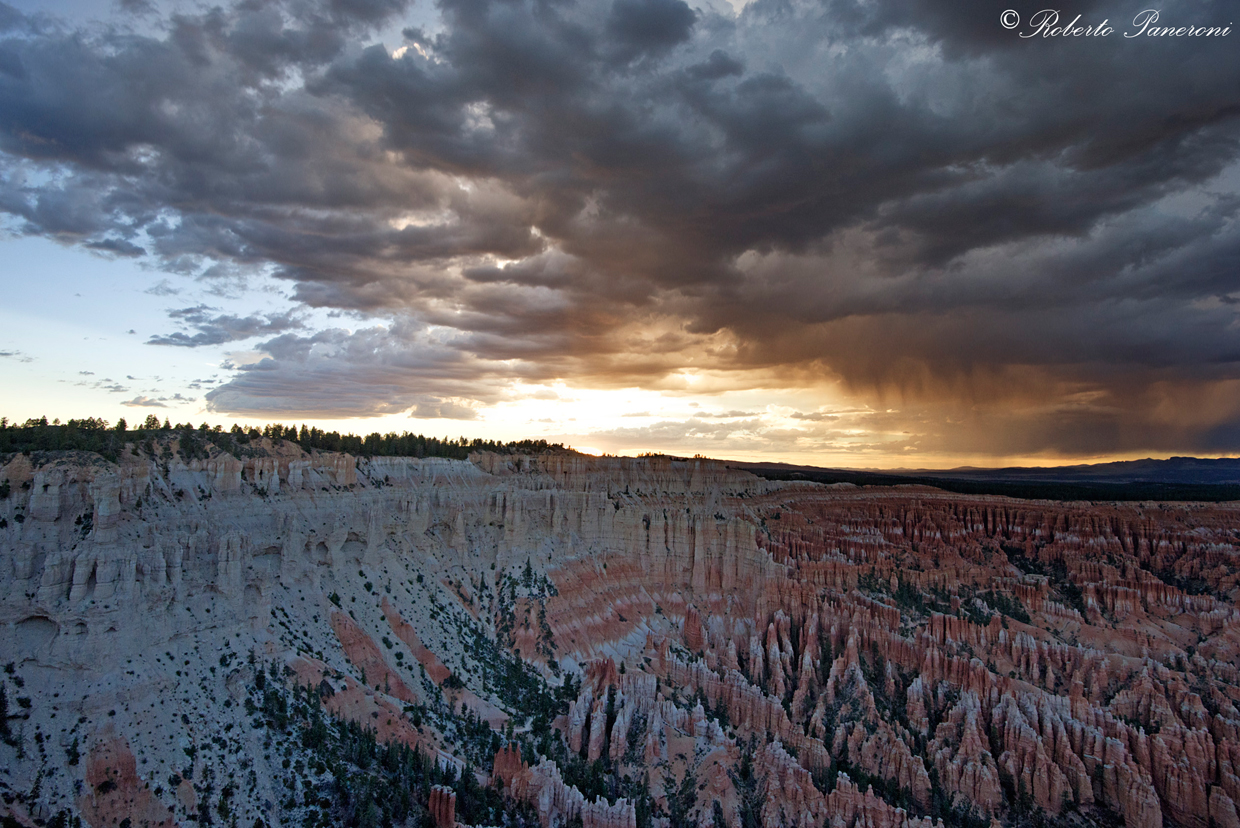 the spectacle of nature