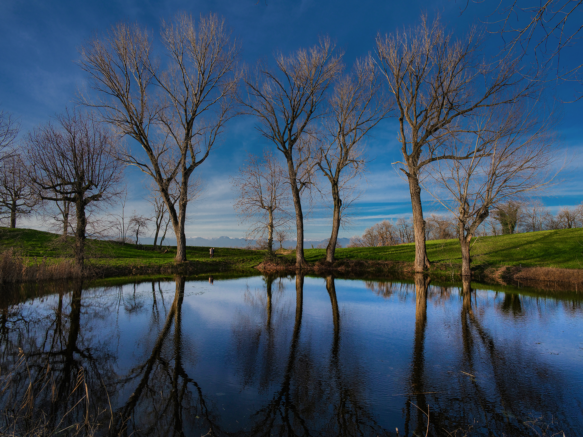 Passeggiando al laghetto.