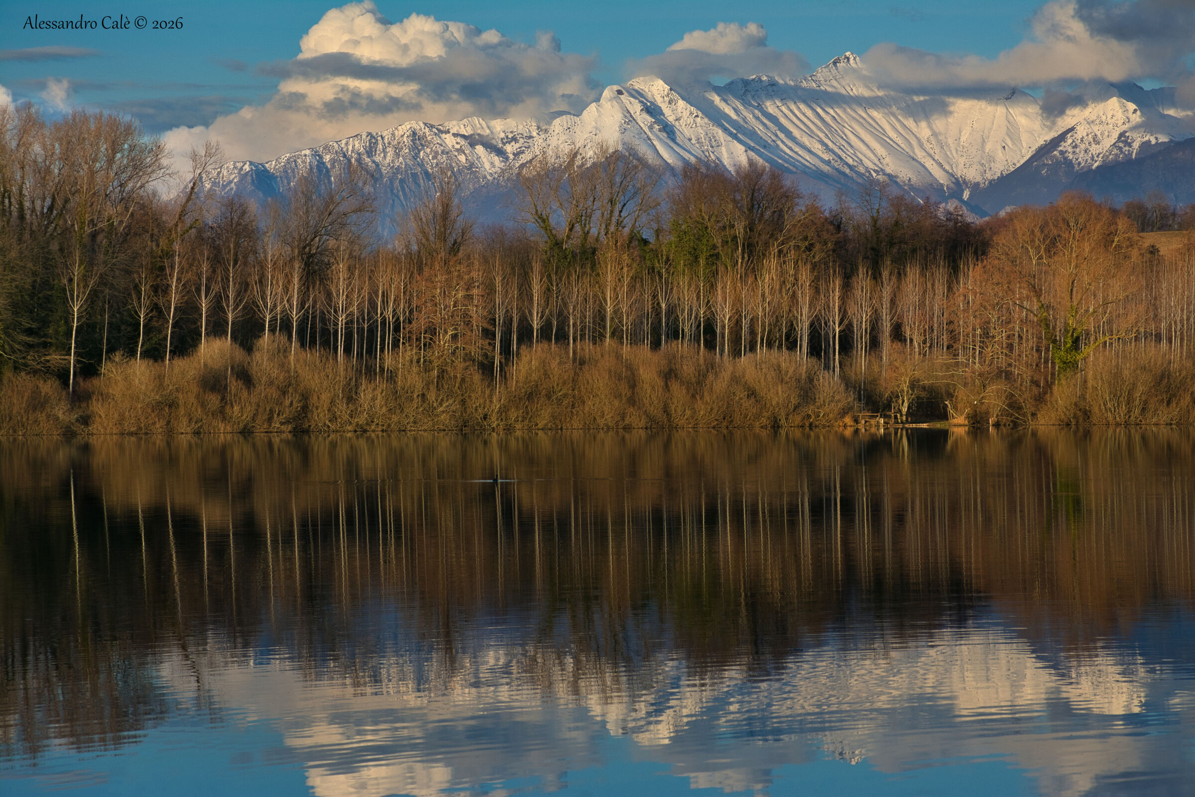 Lago di San Daniele 8776