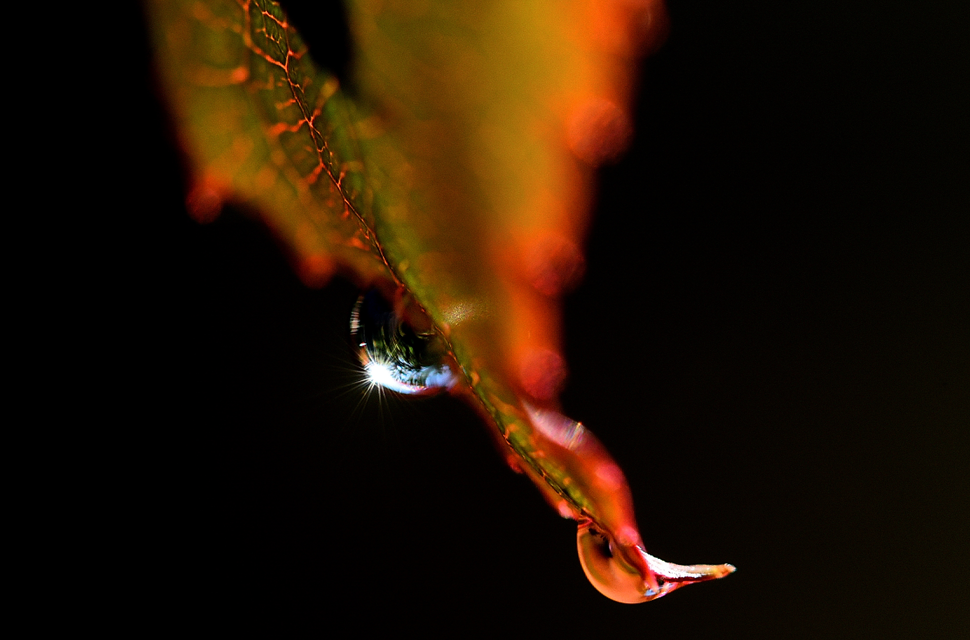 " reflection "