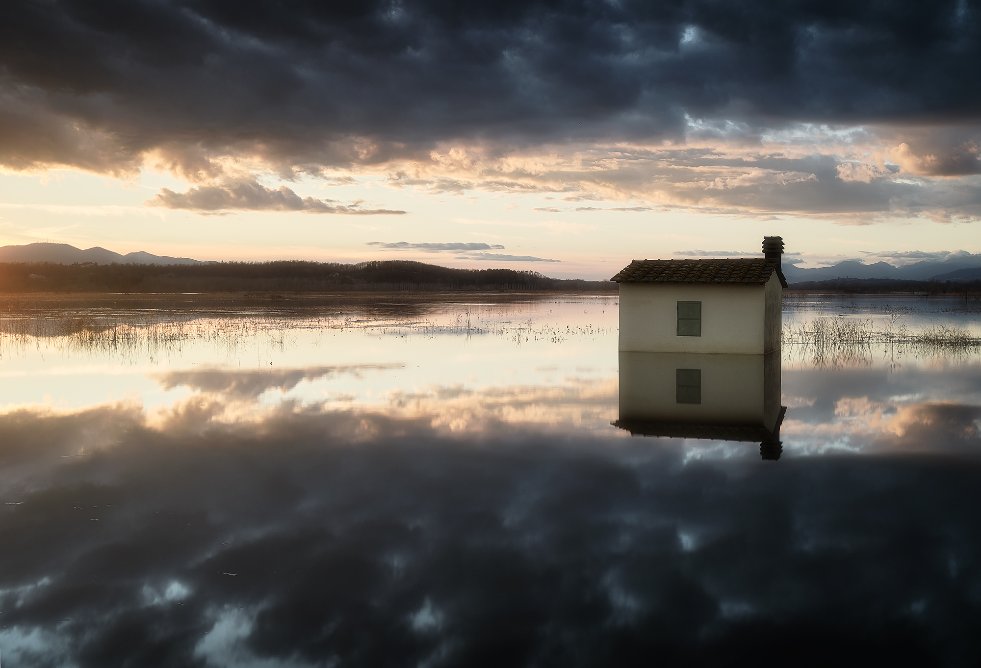 Fucecchio Marshes 15-02-2026