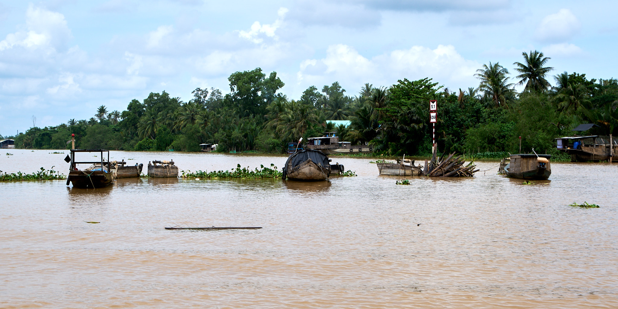 Delta del Mekong