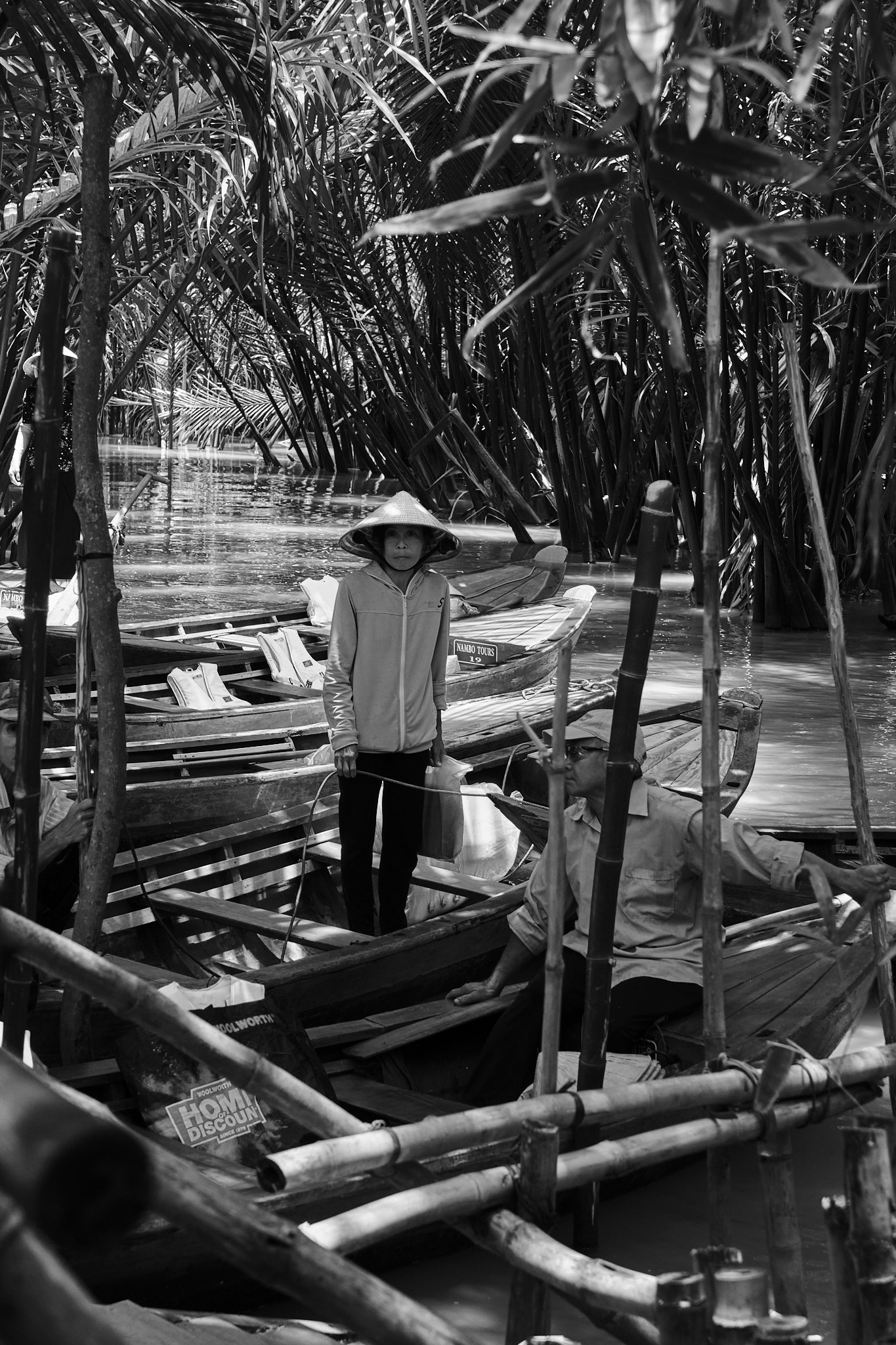 Delta del Mekong