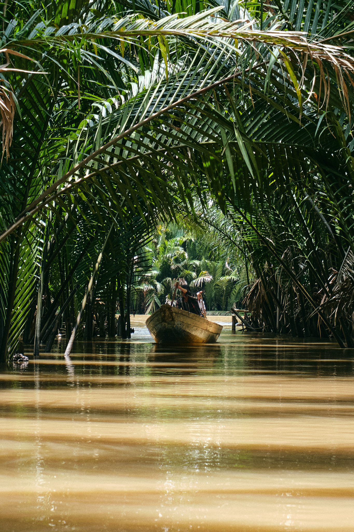 Delta del Mekong