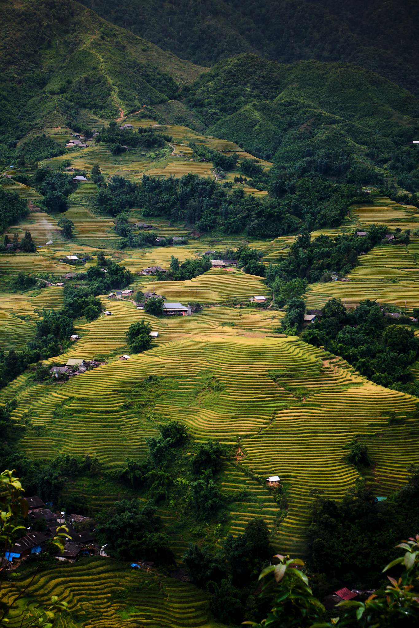 Sa Pa