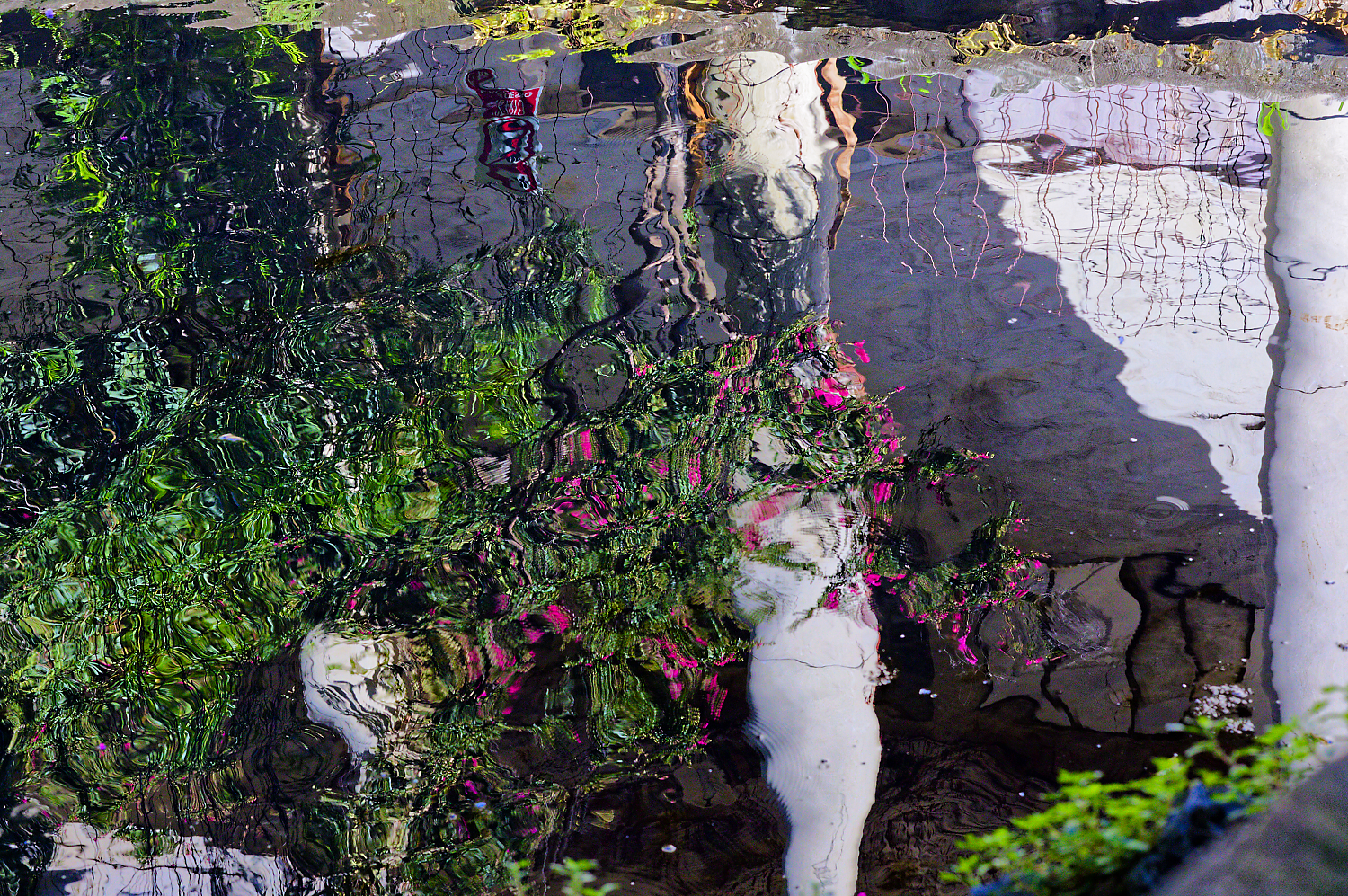 Riflessi d acqua