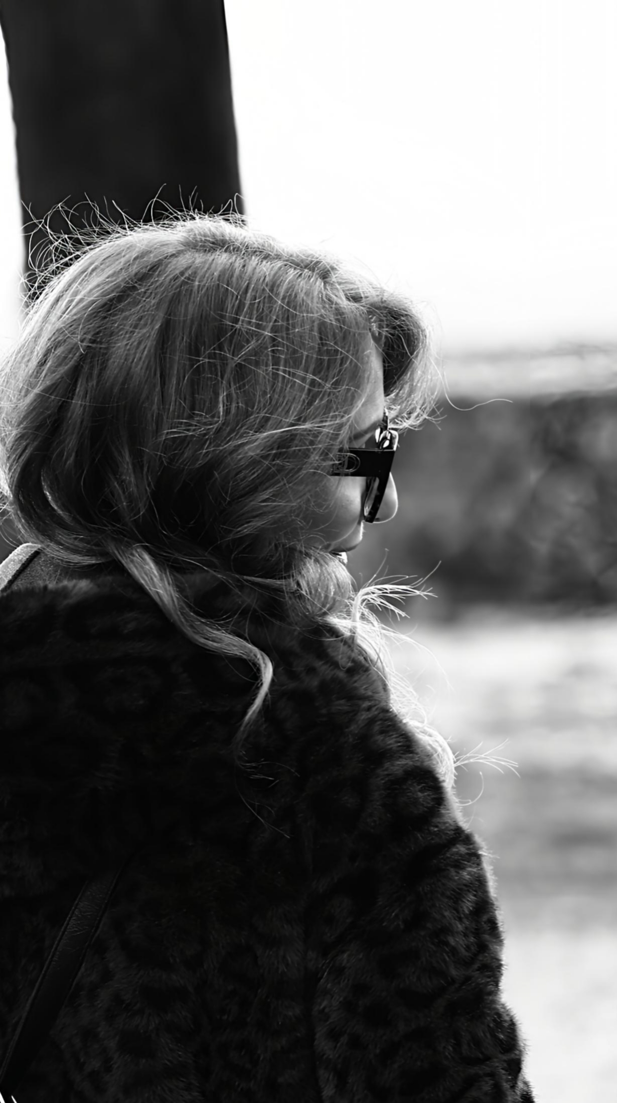 Untitled Photo