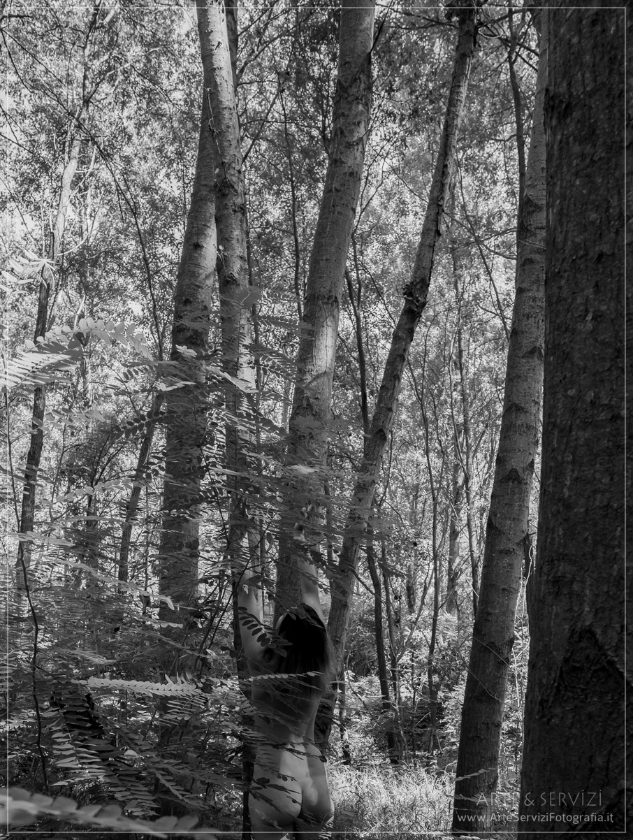 Innesto sottobosco 1