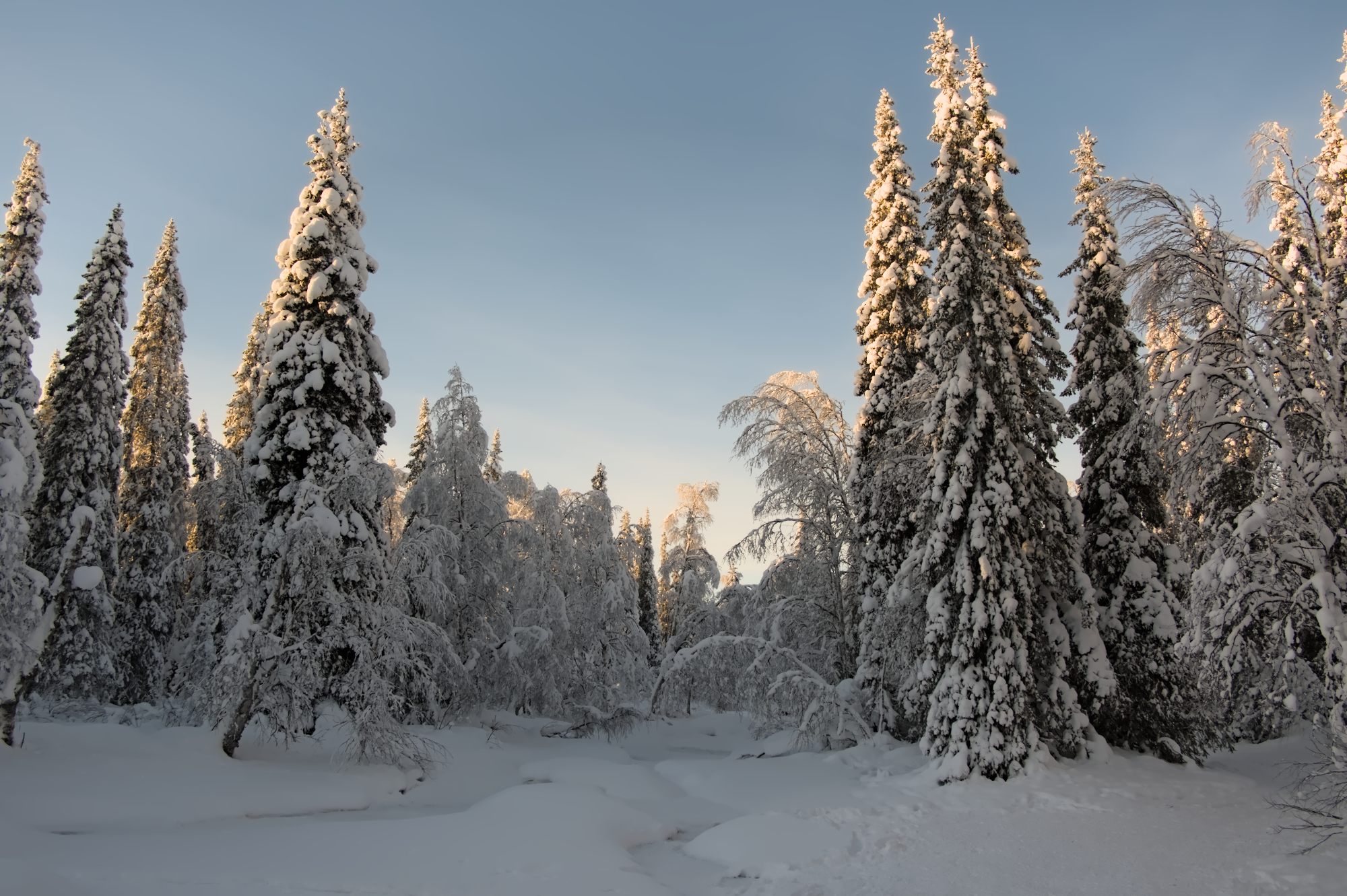 Il gelo finlandese