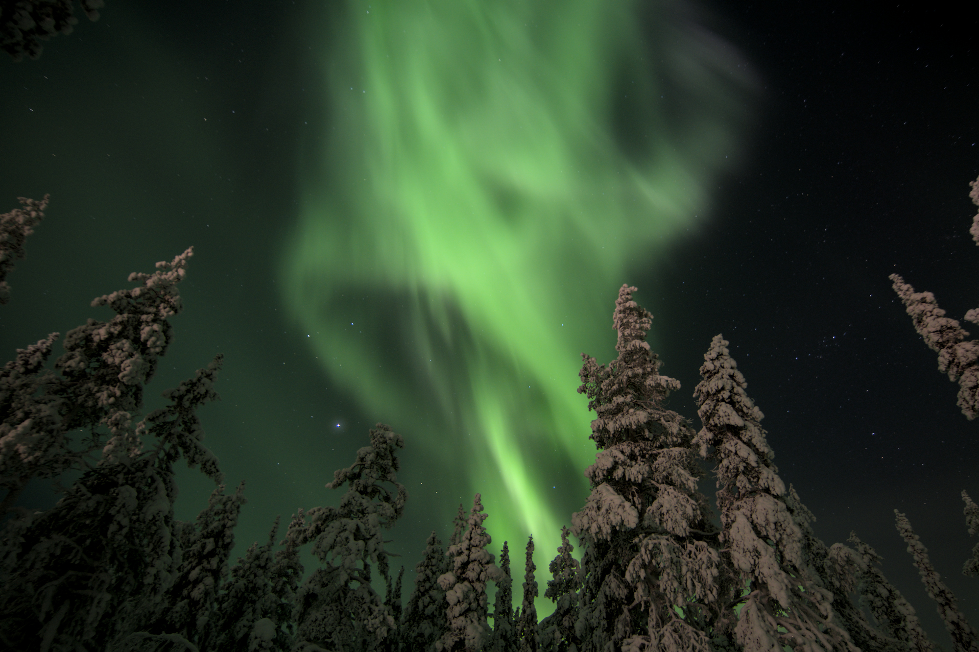 Aurora Danzante