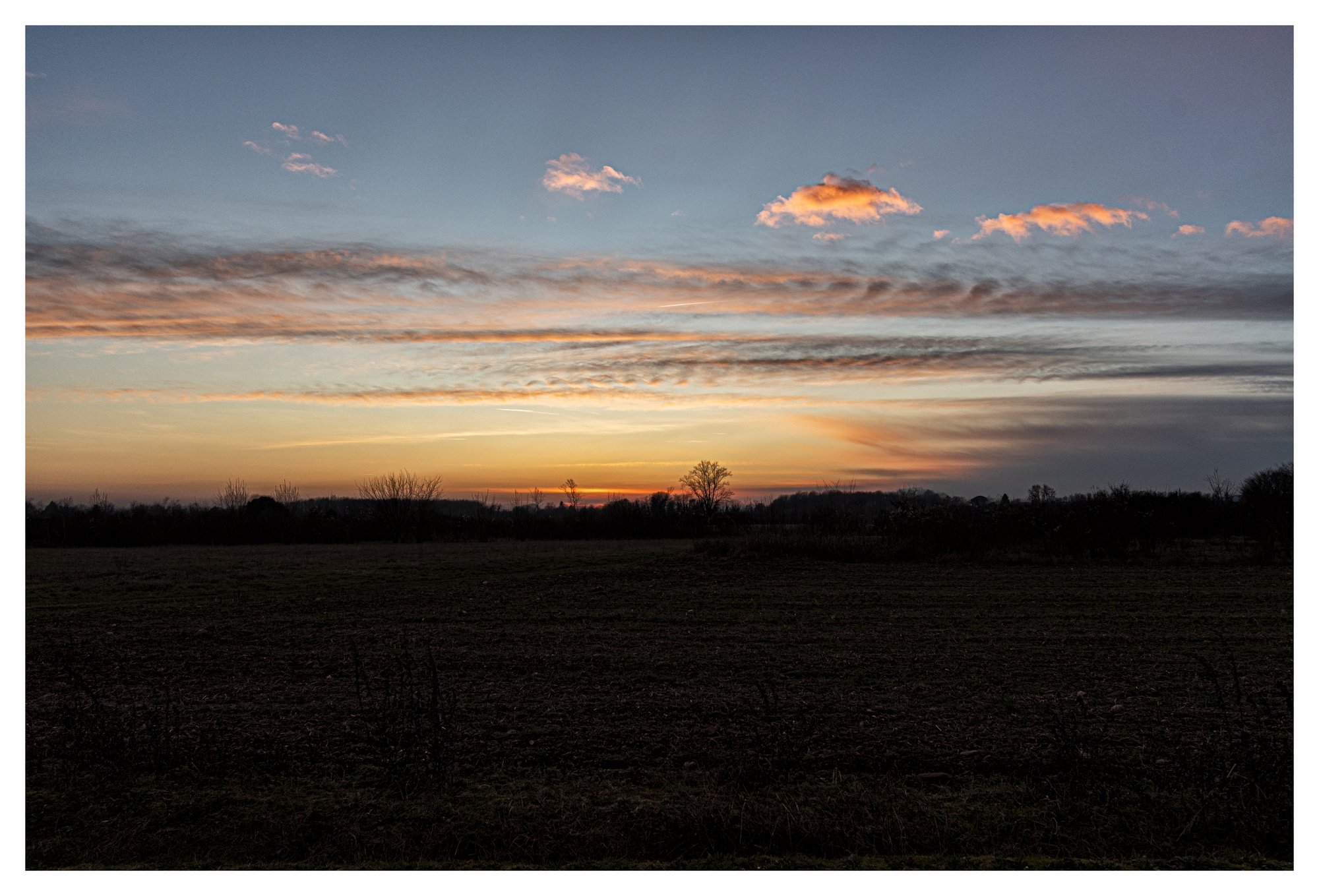 Untitled Photo