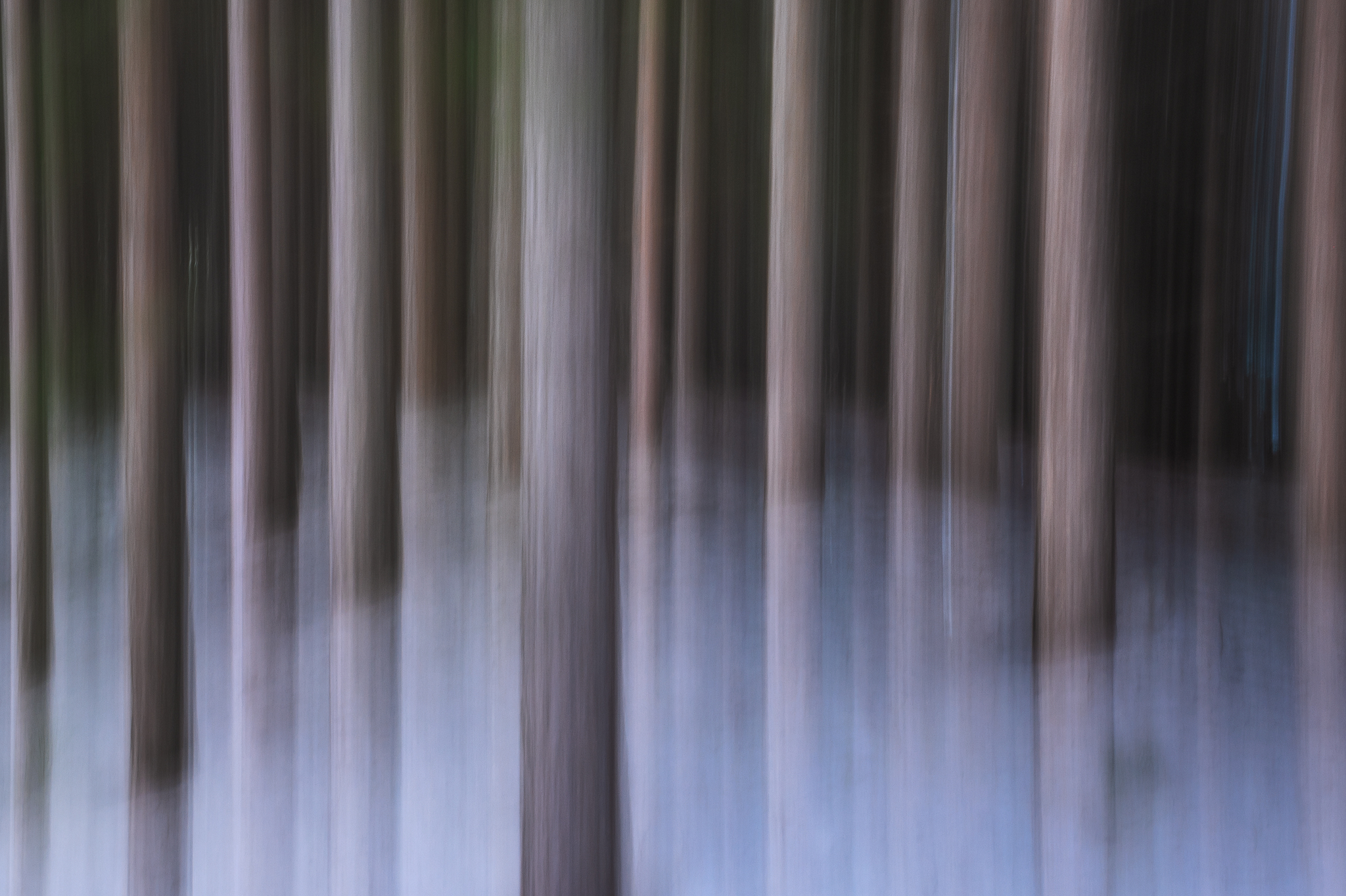 Winter pulse