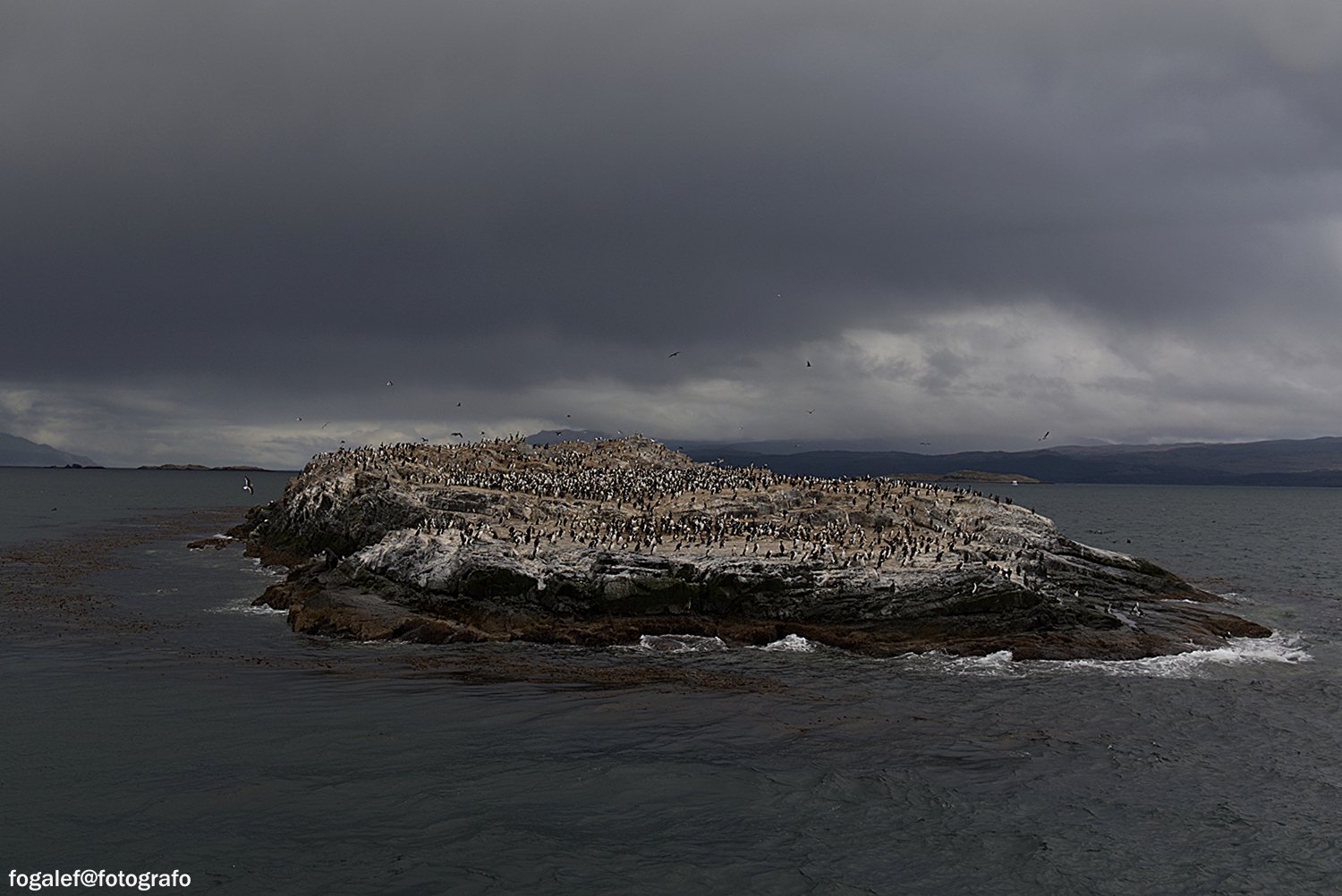 #Argentina #Parque Nacional Tierra del Fuego