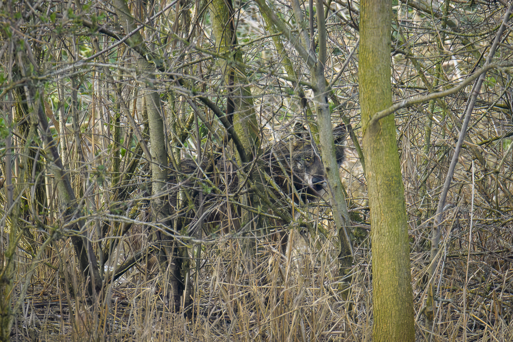 Unexpected Encounter 2