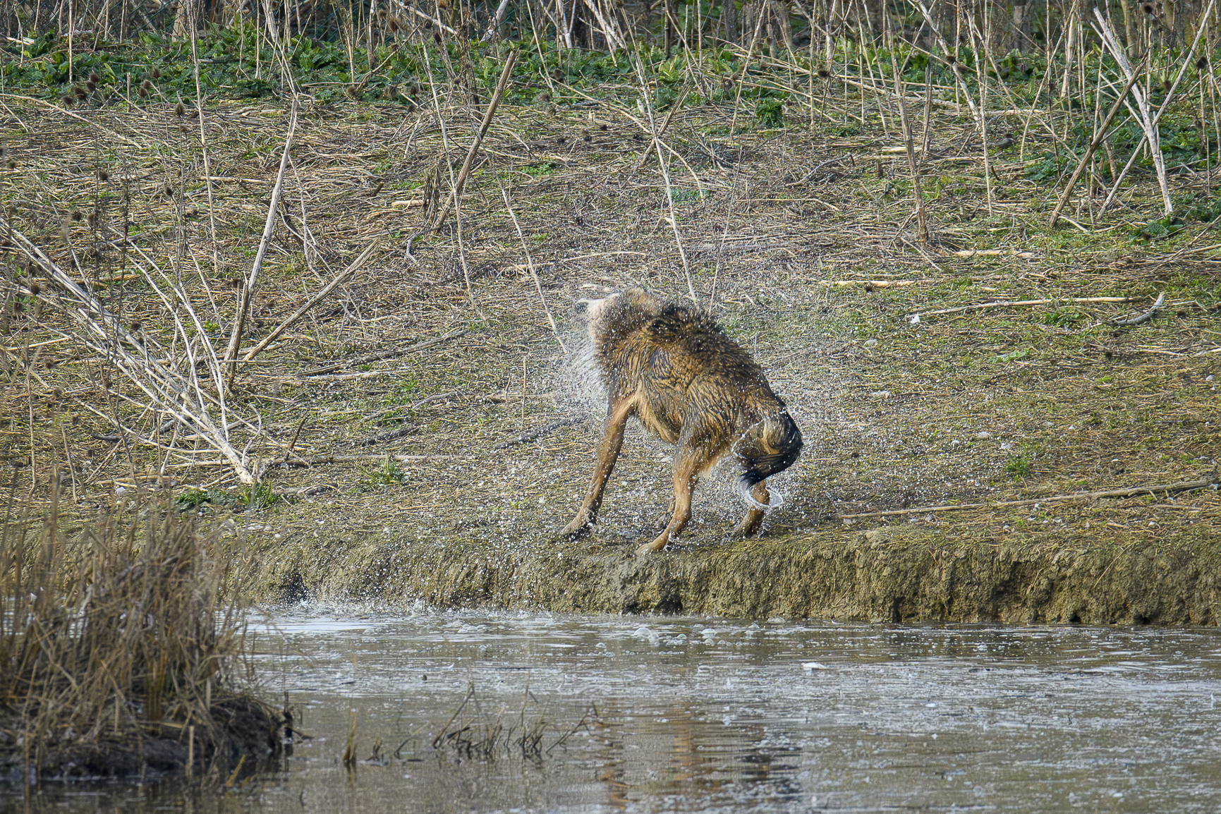 Unexpected Encounter 4