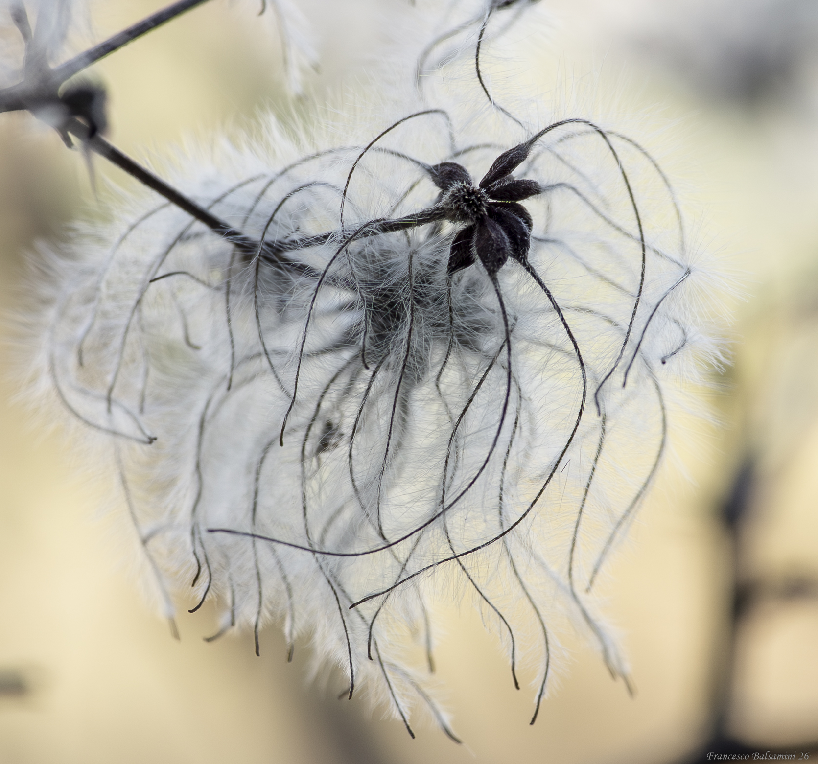 Untitled Photo