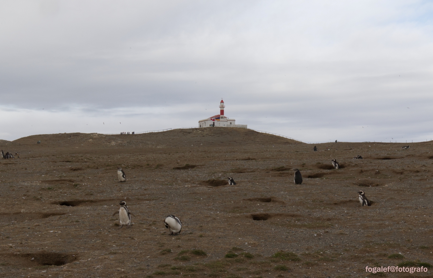 #Isla Margherita #Chile