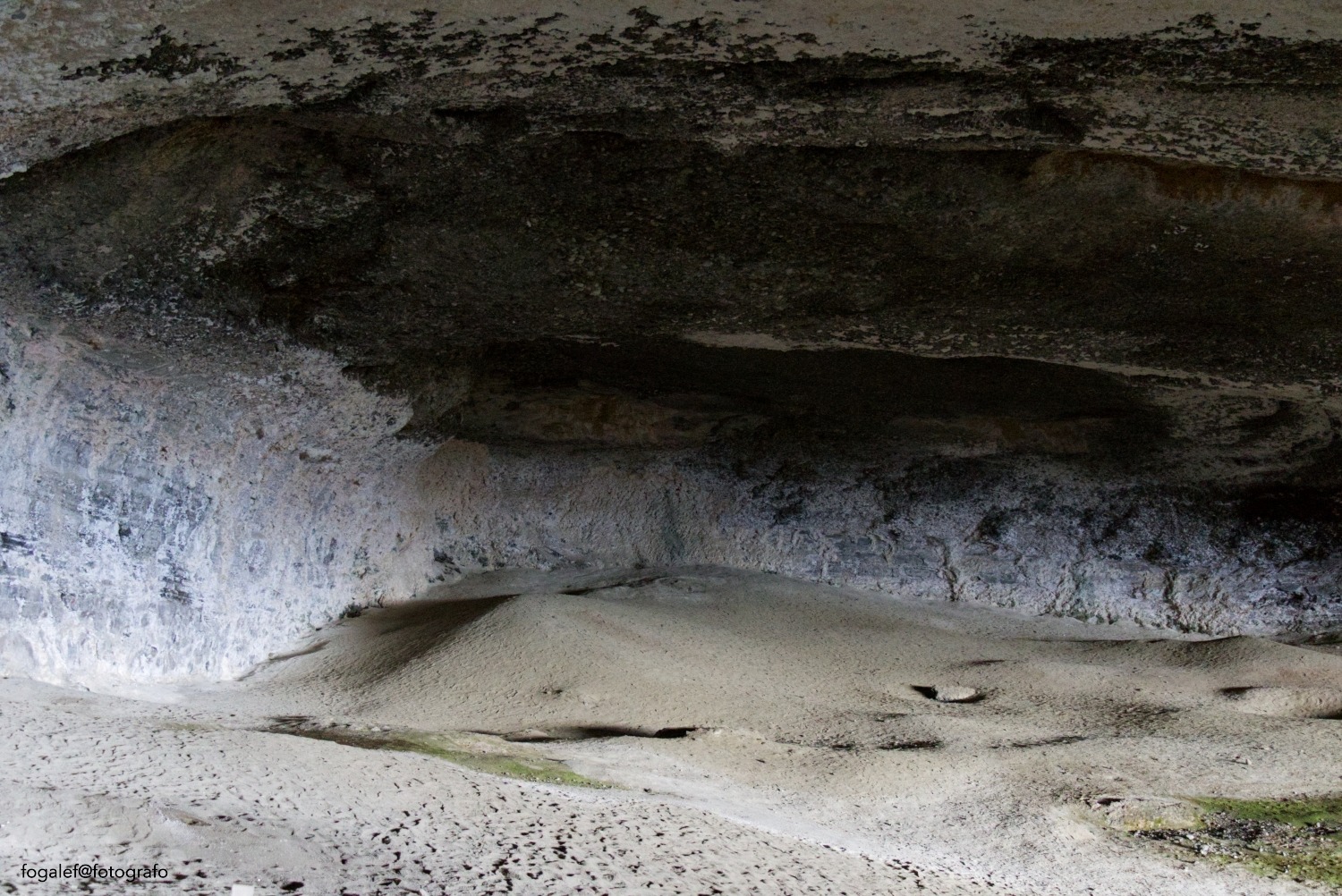 Milodon #Chile #Cueva