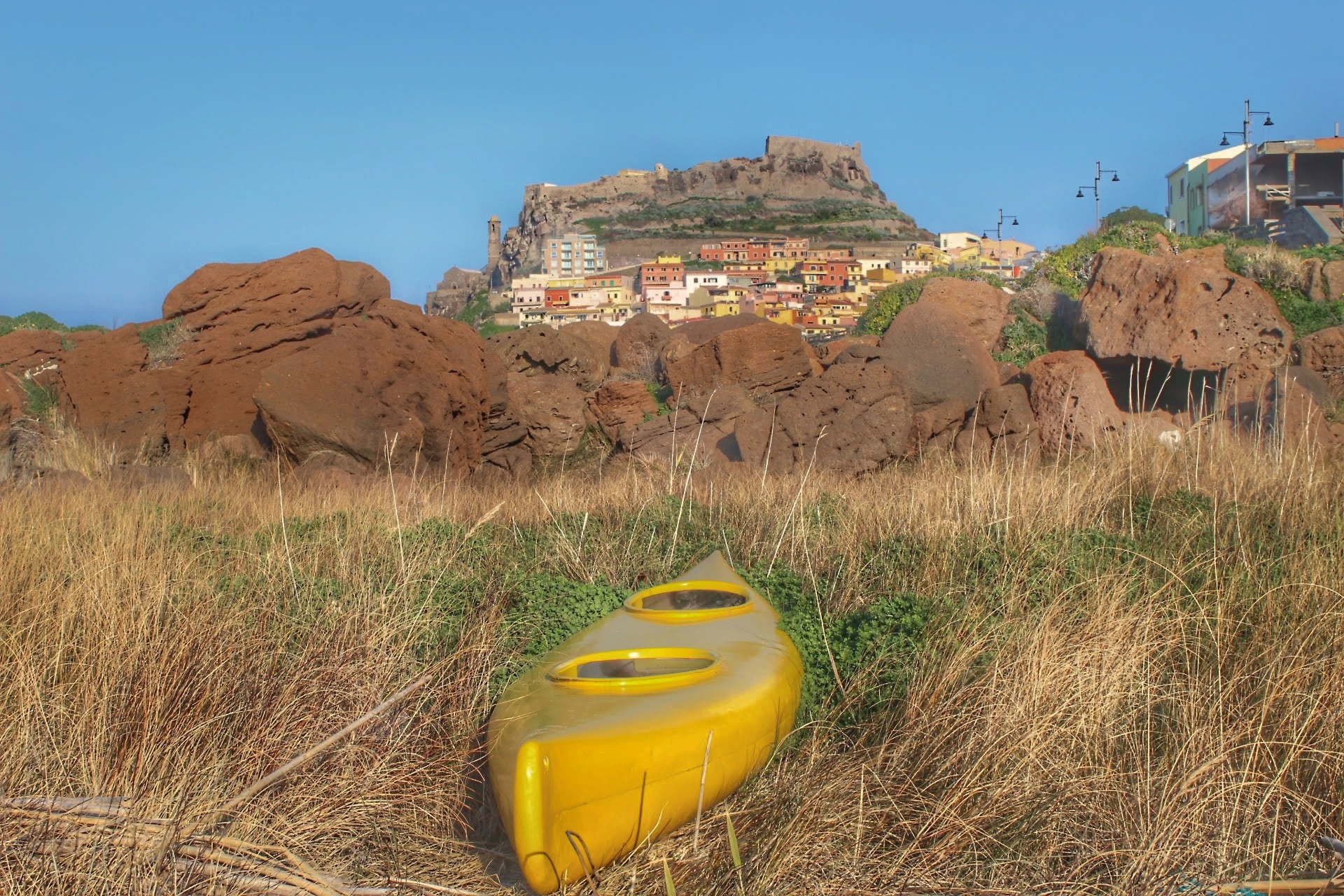 Punto di vista alternativo