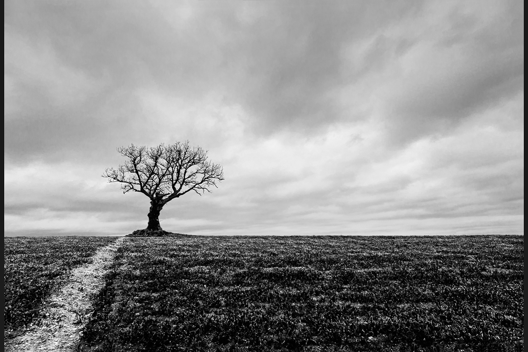 L'attesa della primavera