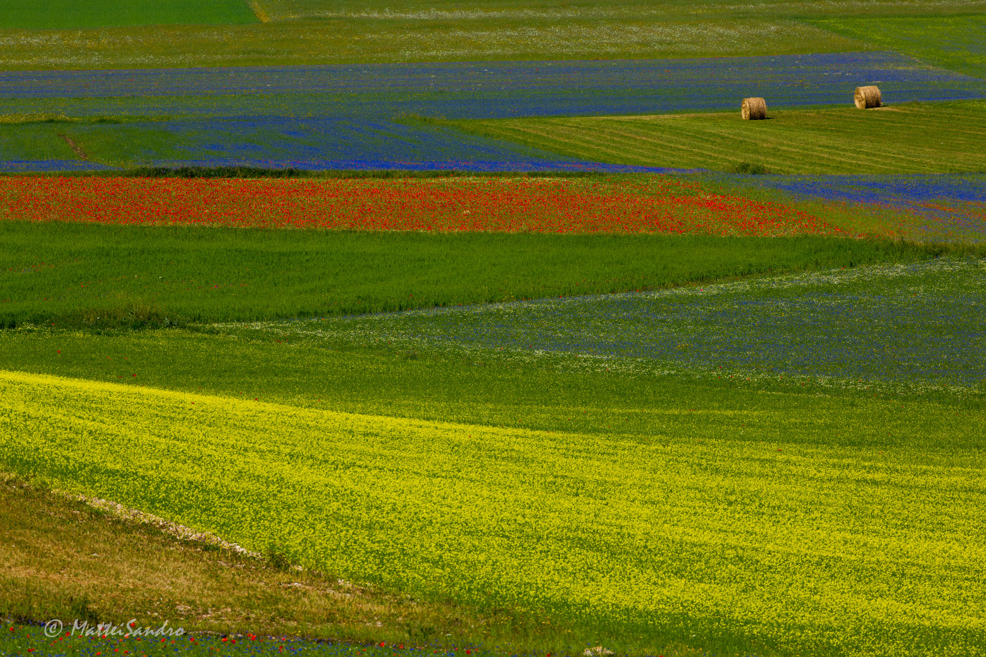Castelluccio 2013