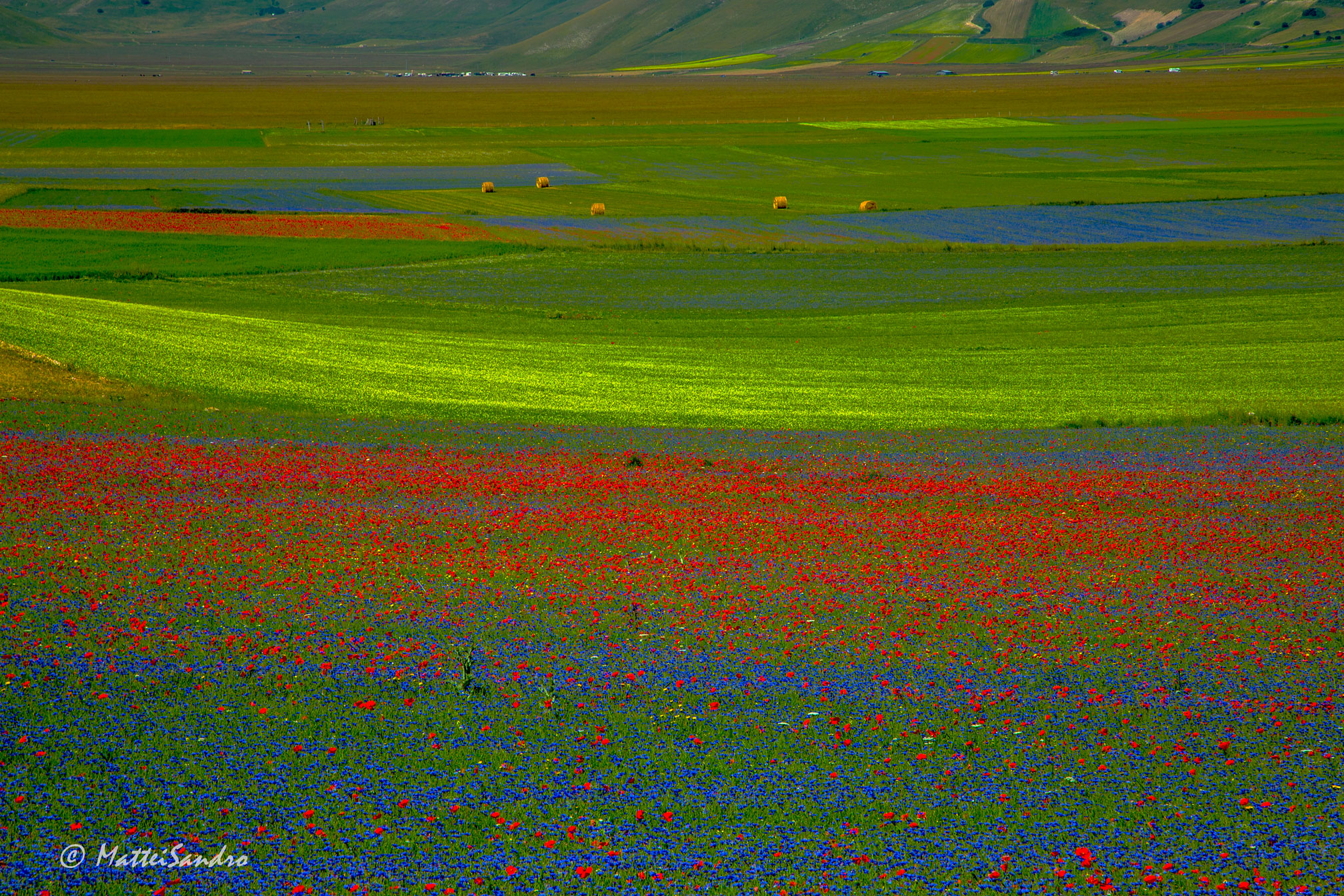 Castelluccio 2013
