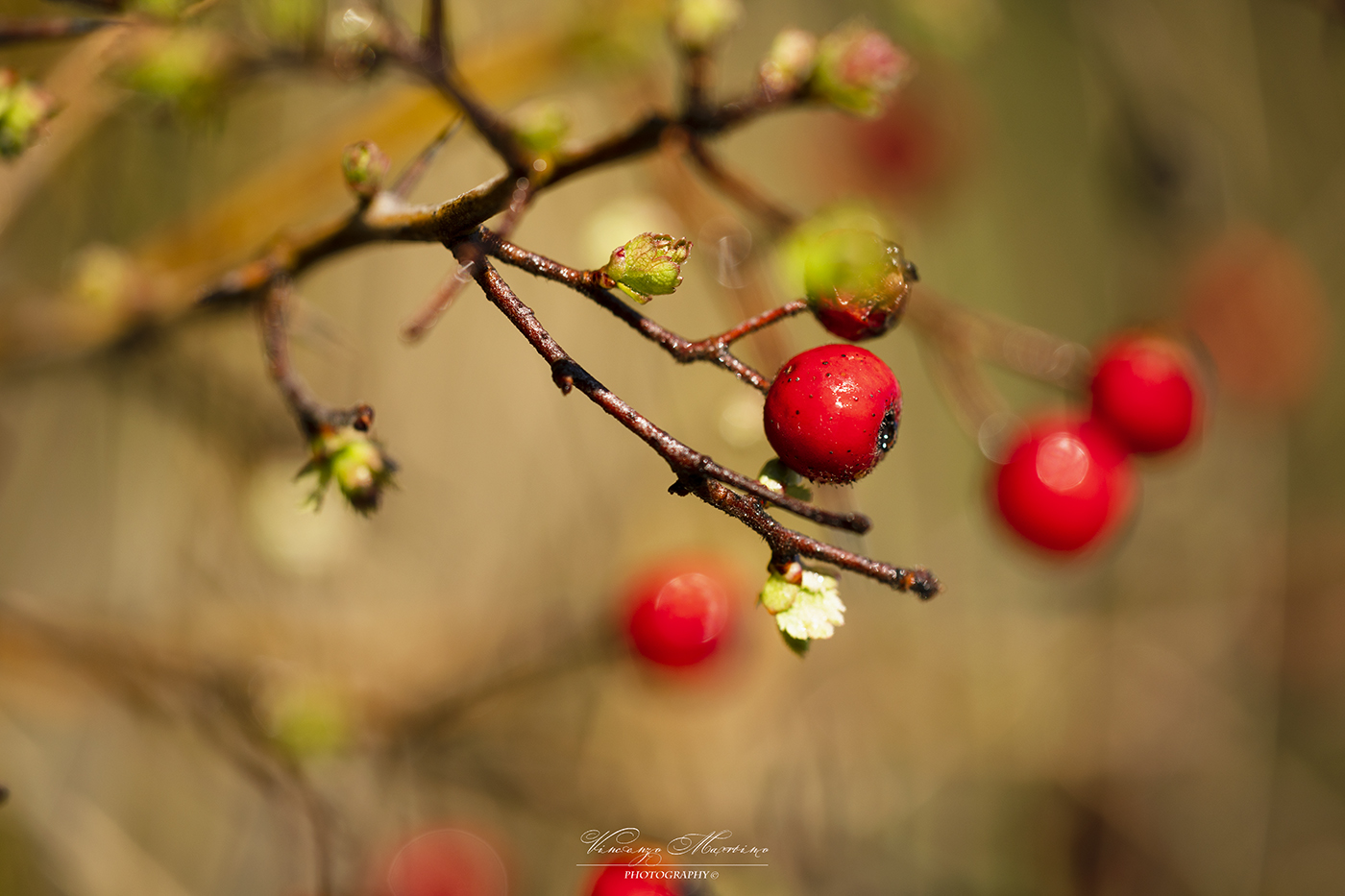 Untitled Photo