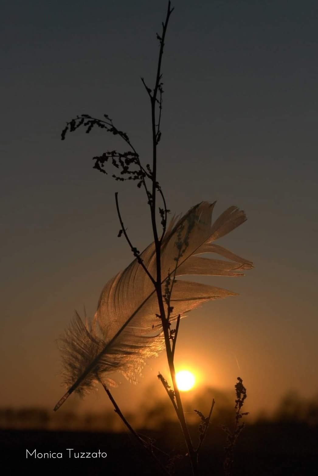 Tramonto in campagna