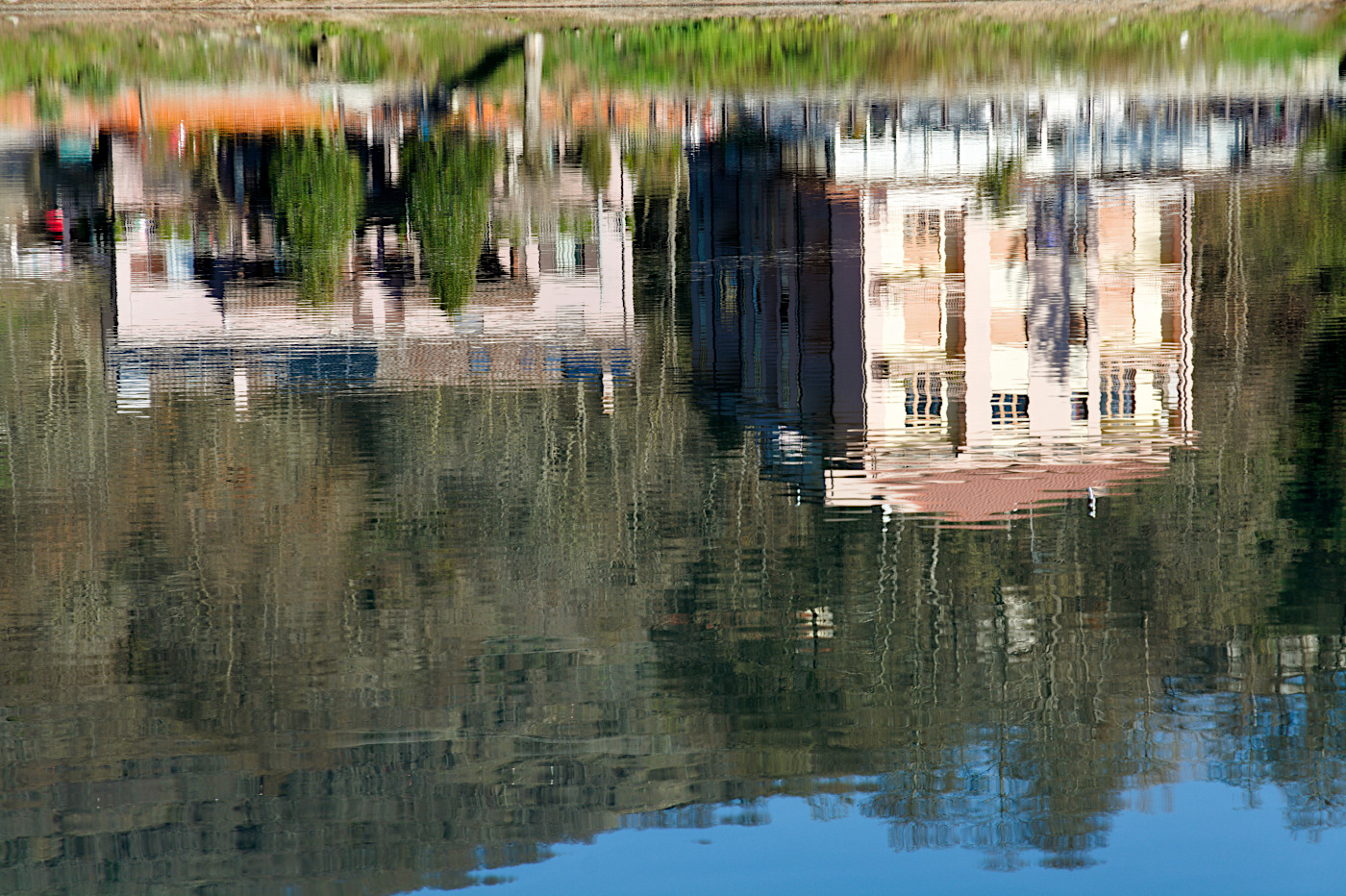 Riflessi