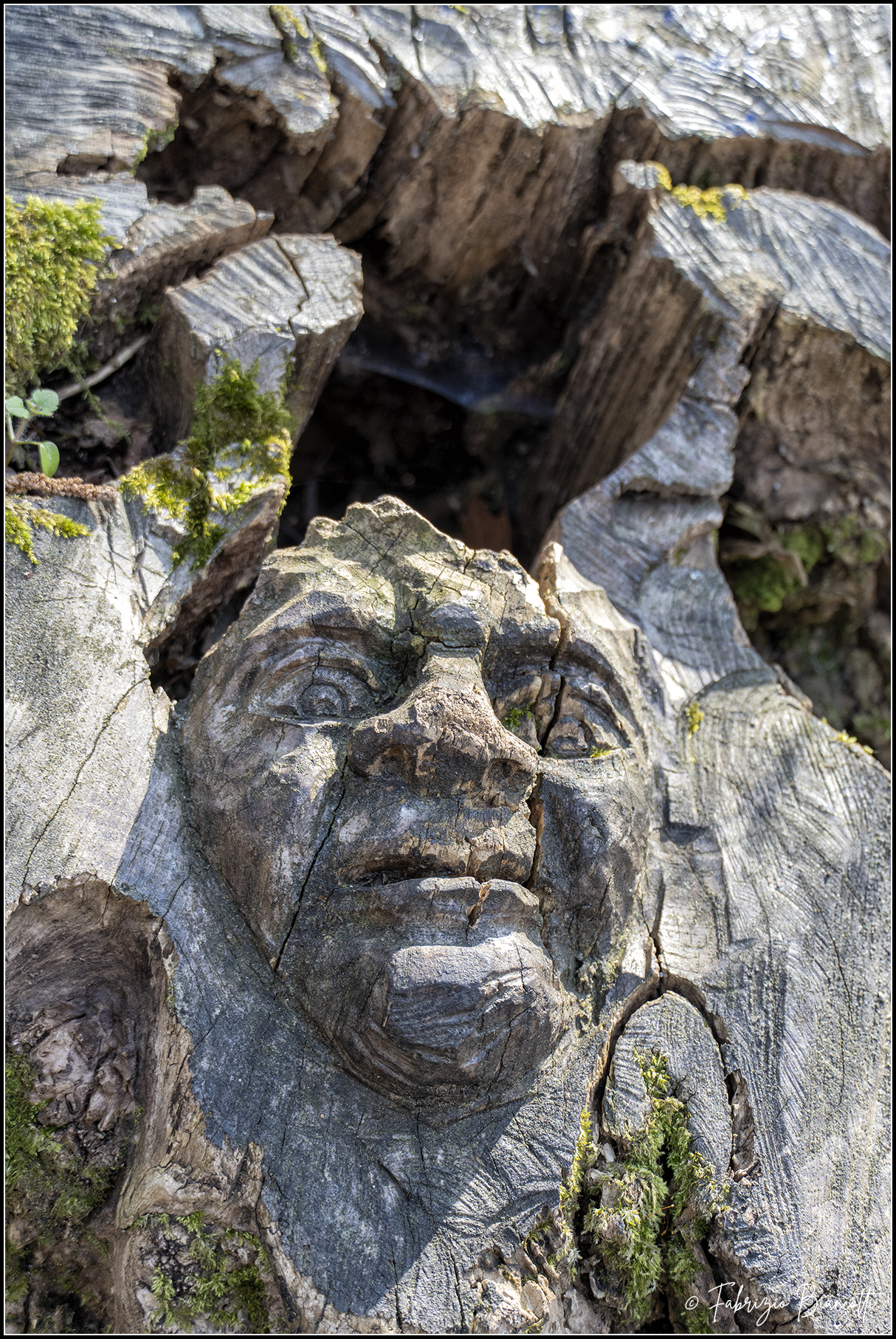 Ghost Mask - Sculpture Trail - Caldana