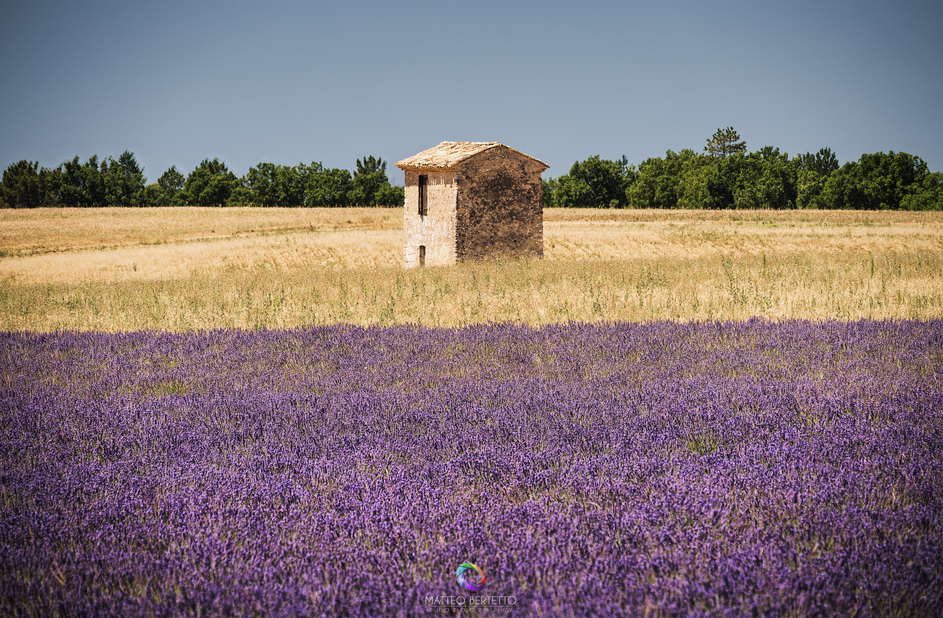 Valensole - Provence