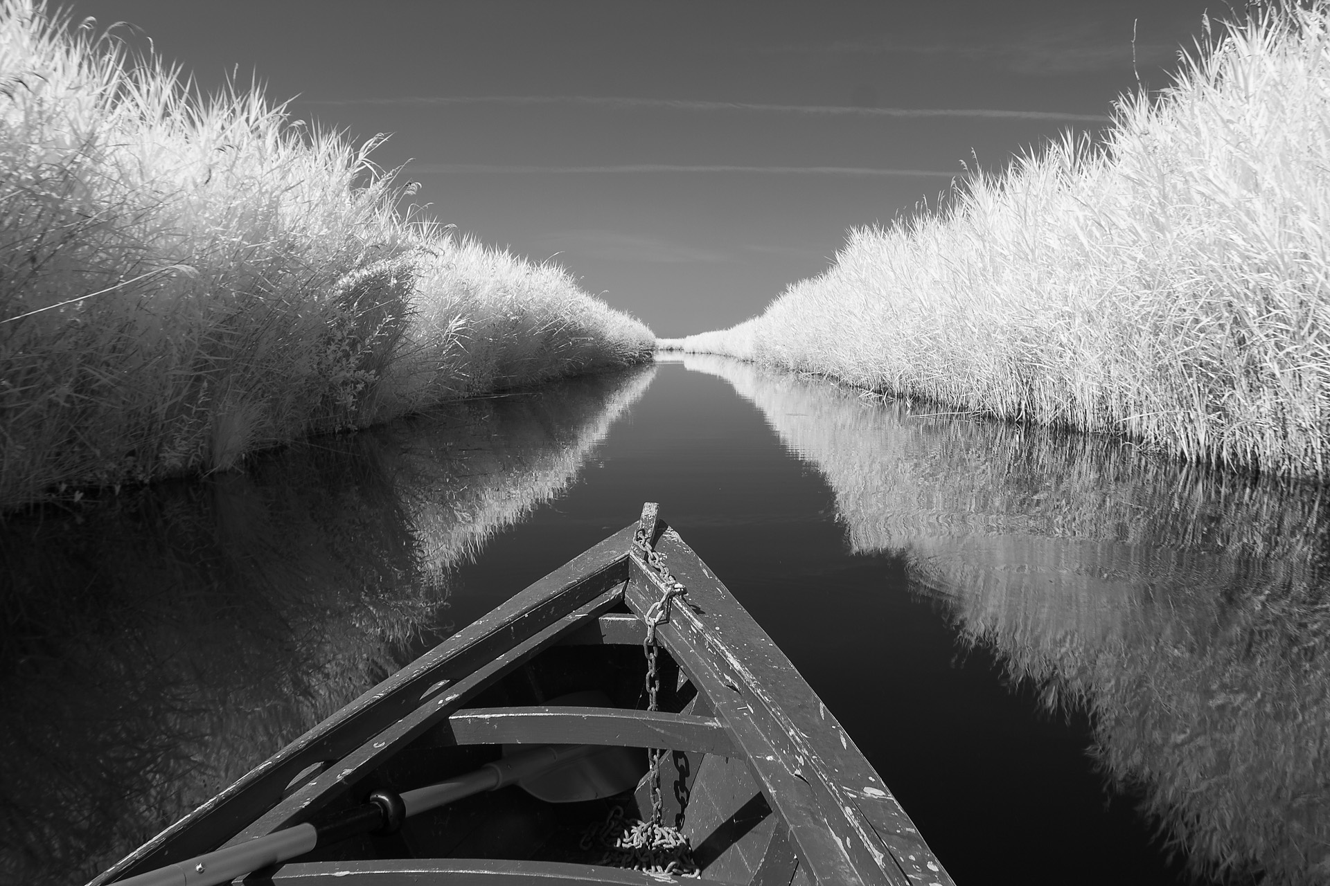 Lago di Massaciuccoli, Sulla barca