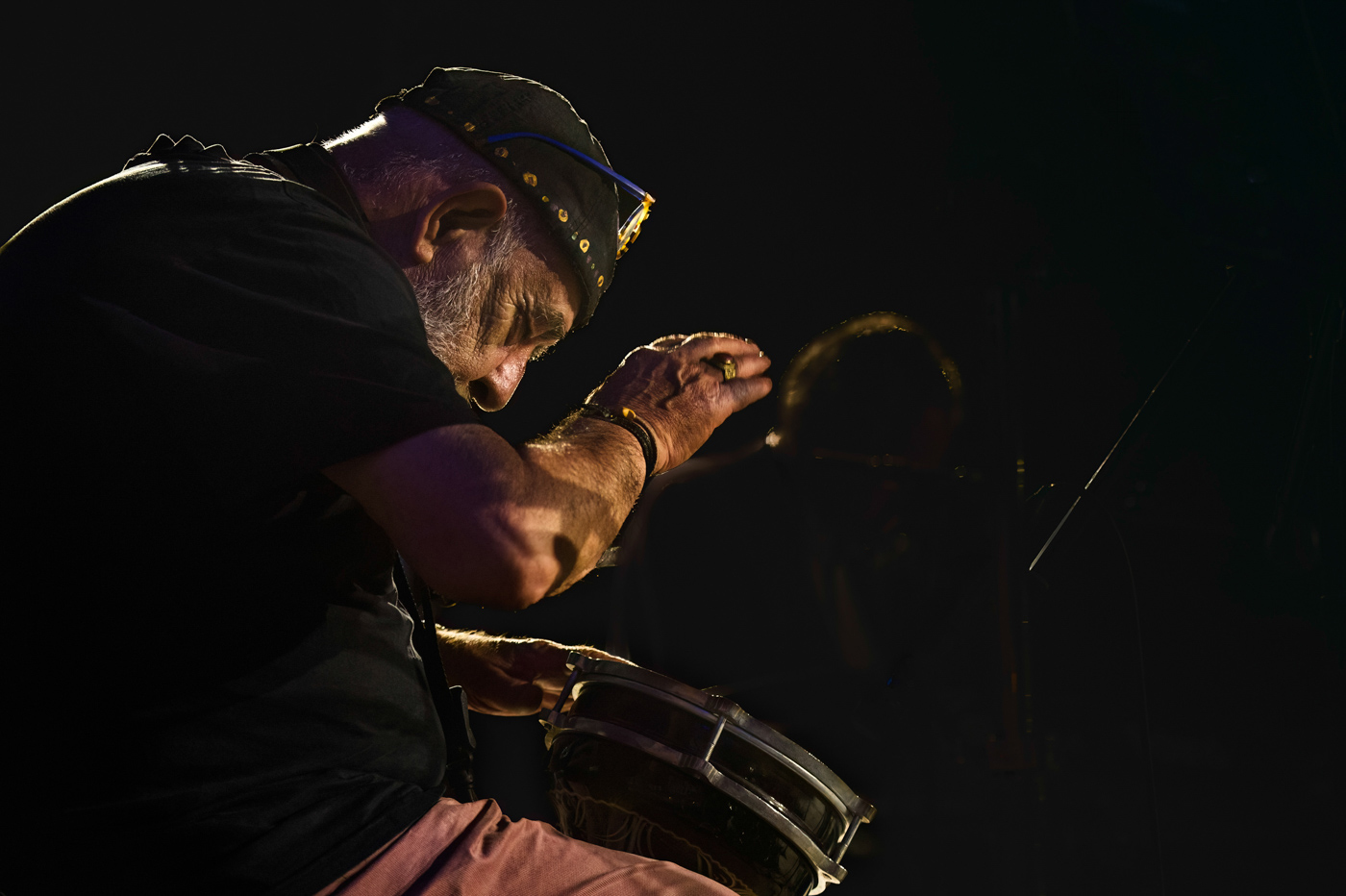 I Musici di Francesco Guccini