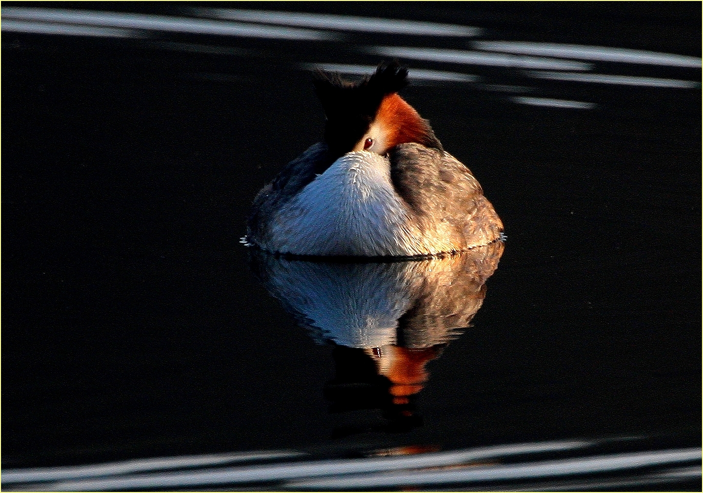 ,, Swasso reflected in Porto Torre ''