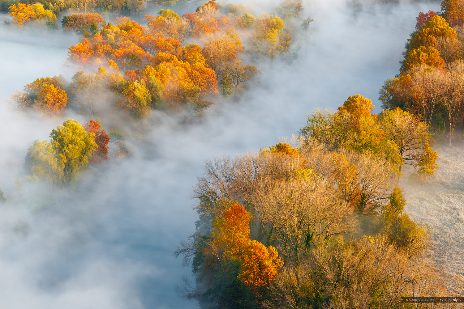 Se sto sognando, non svegliatemi! :)