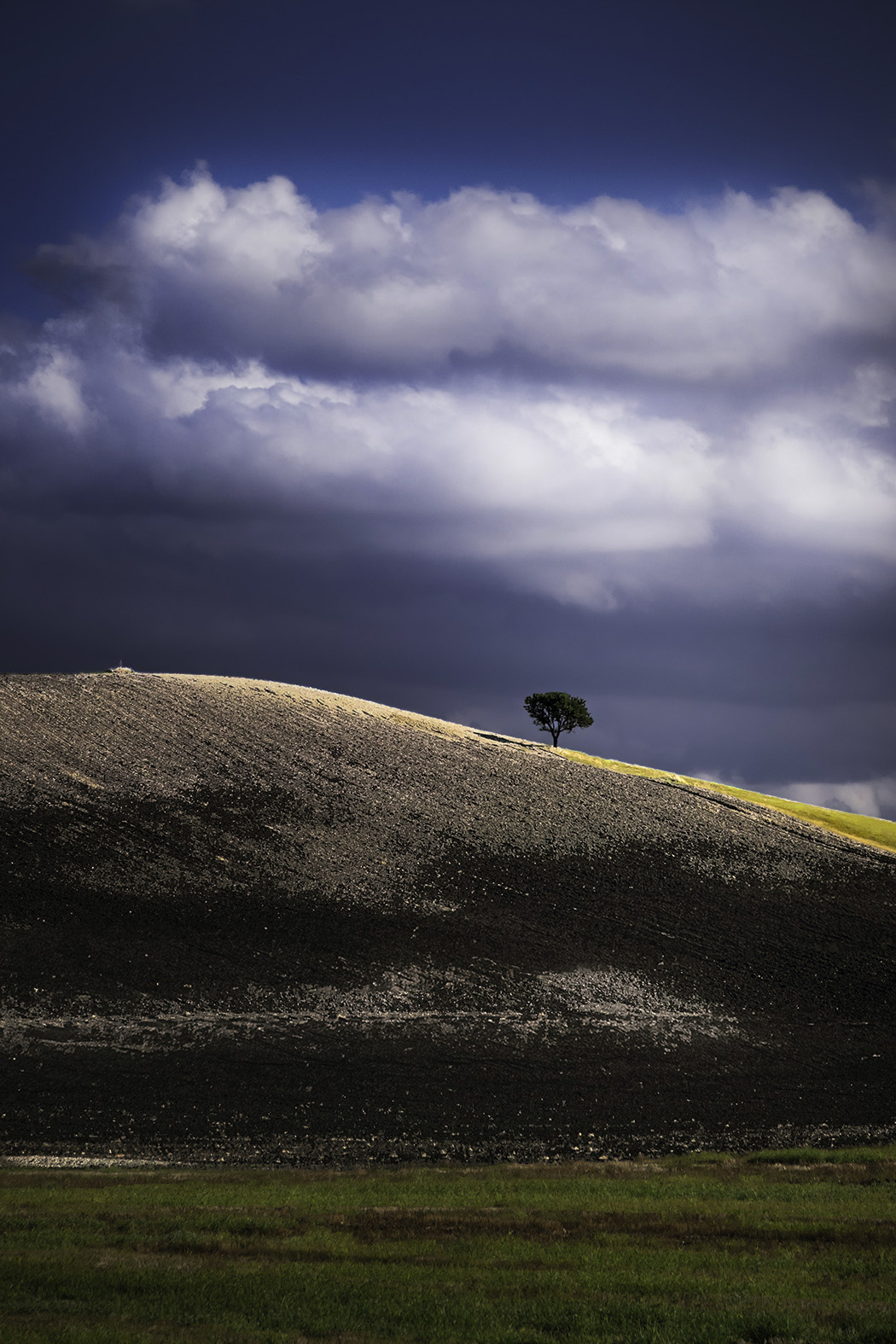 Landscape of Capitanata (Lucera - FG)
