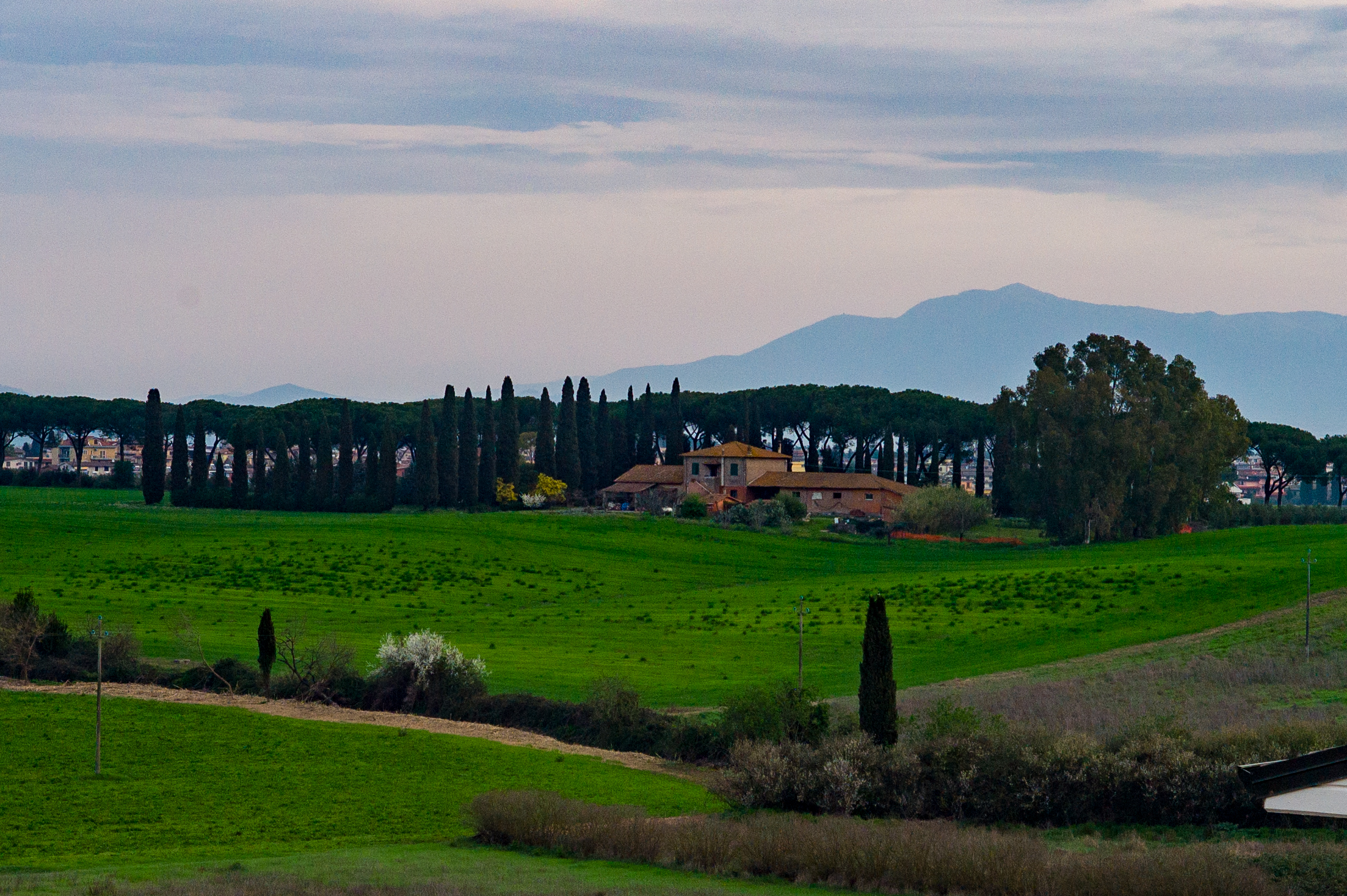 Landscape