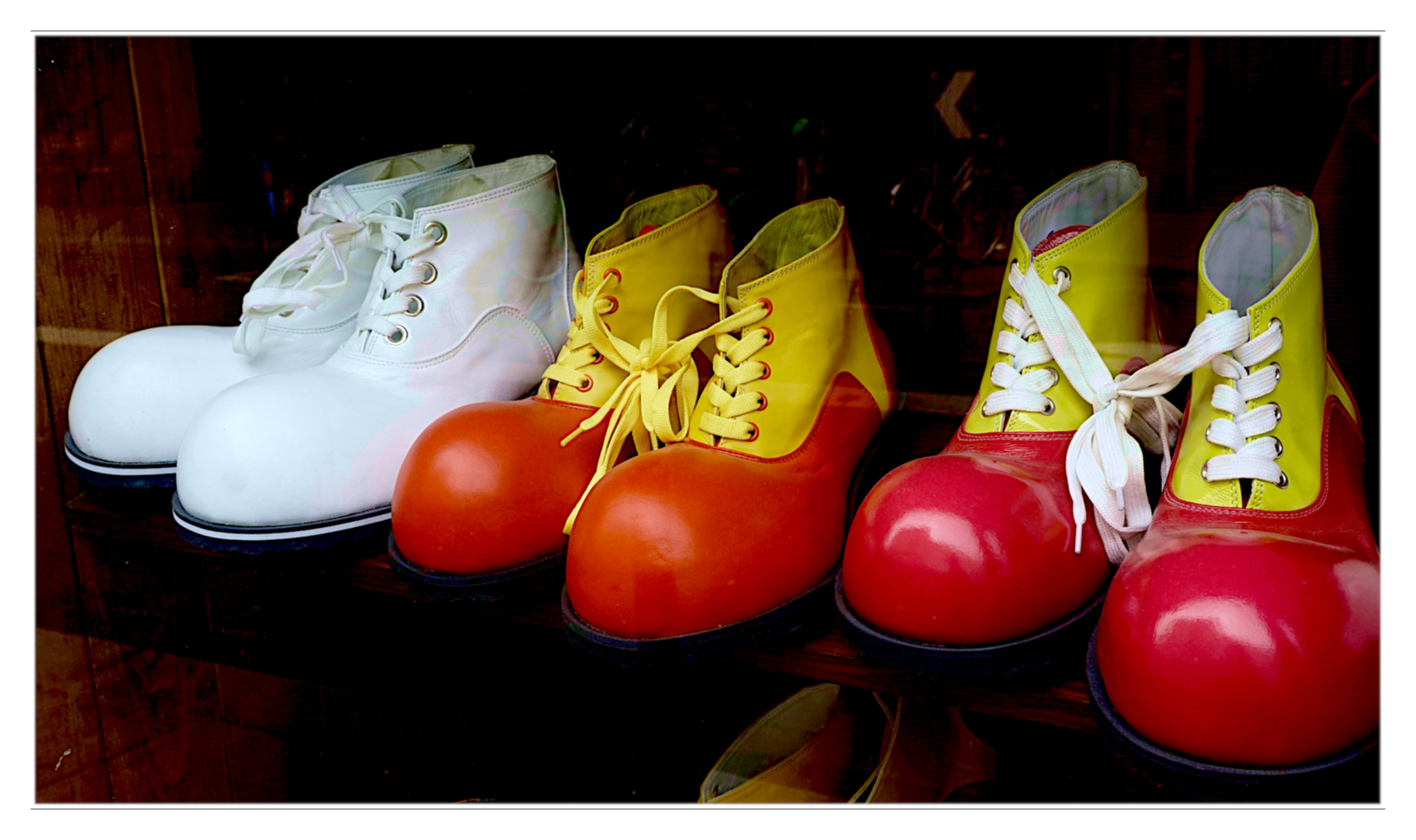 Which one to choose?