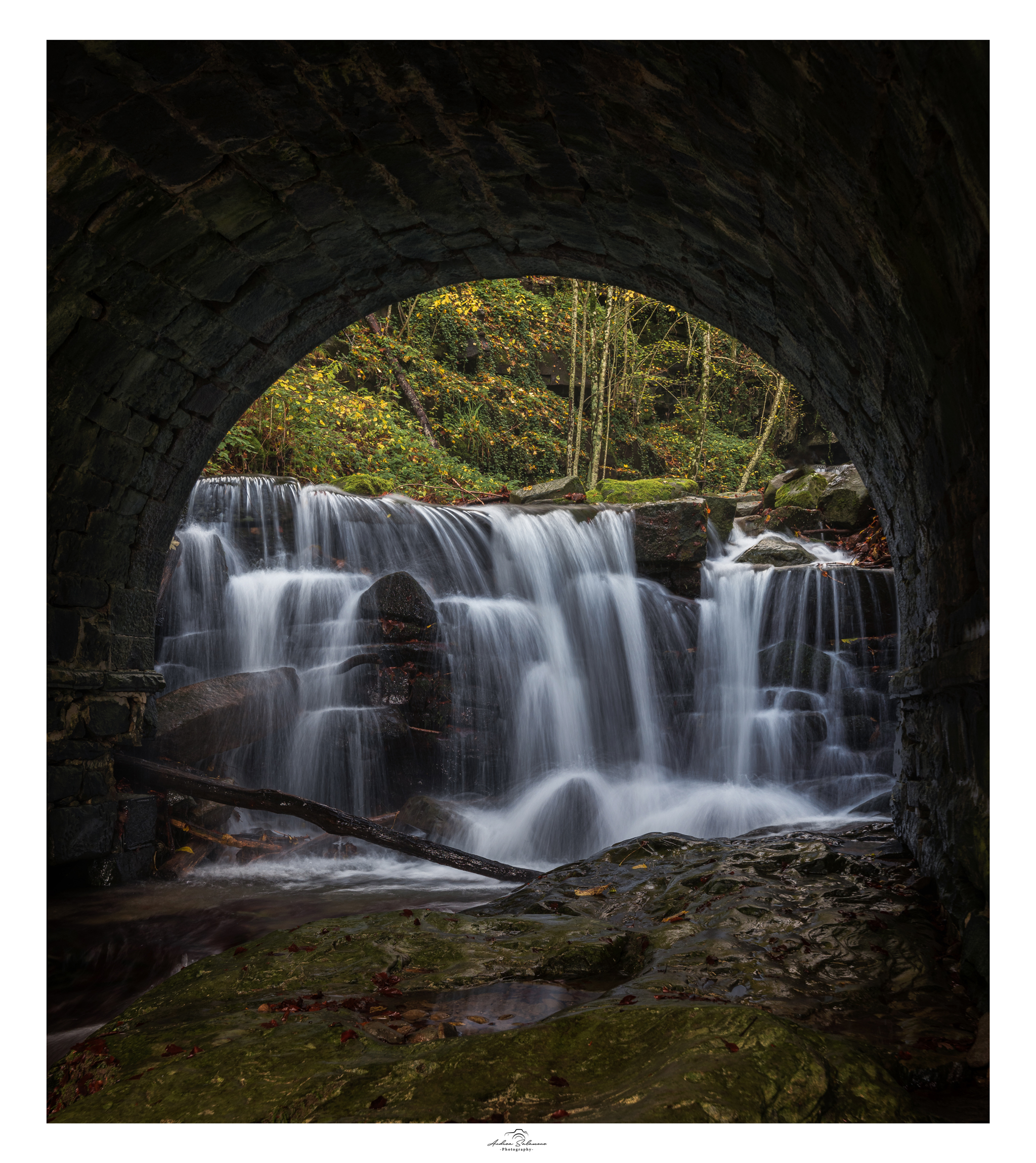 Dove il tempo non passa