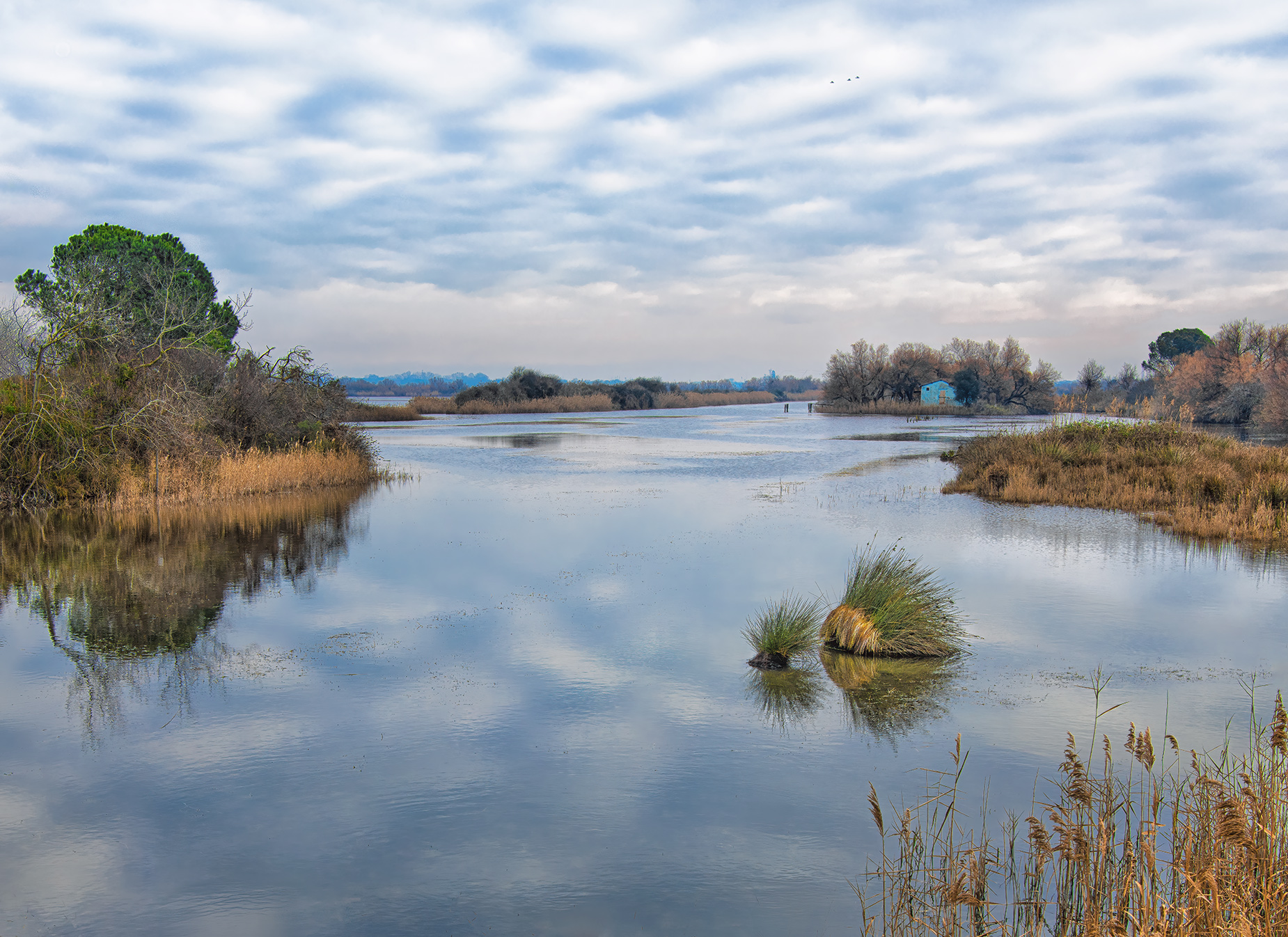 Un angolo nascosto del delta del Po