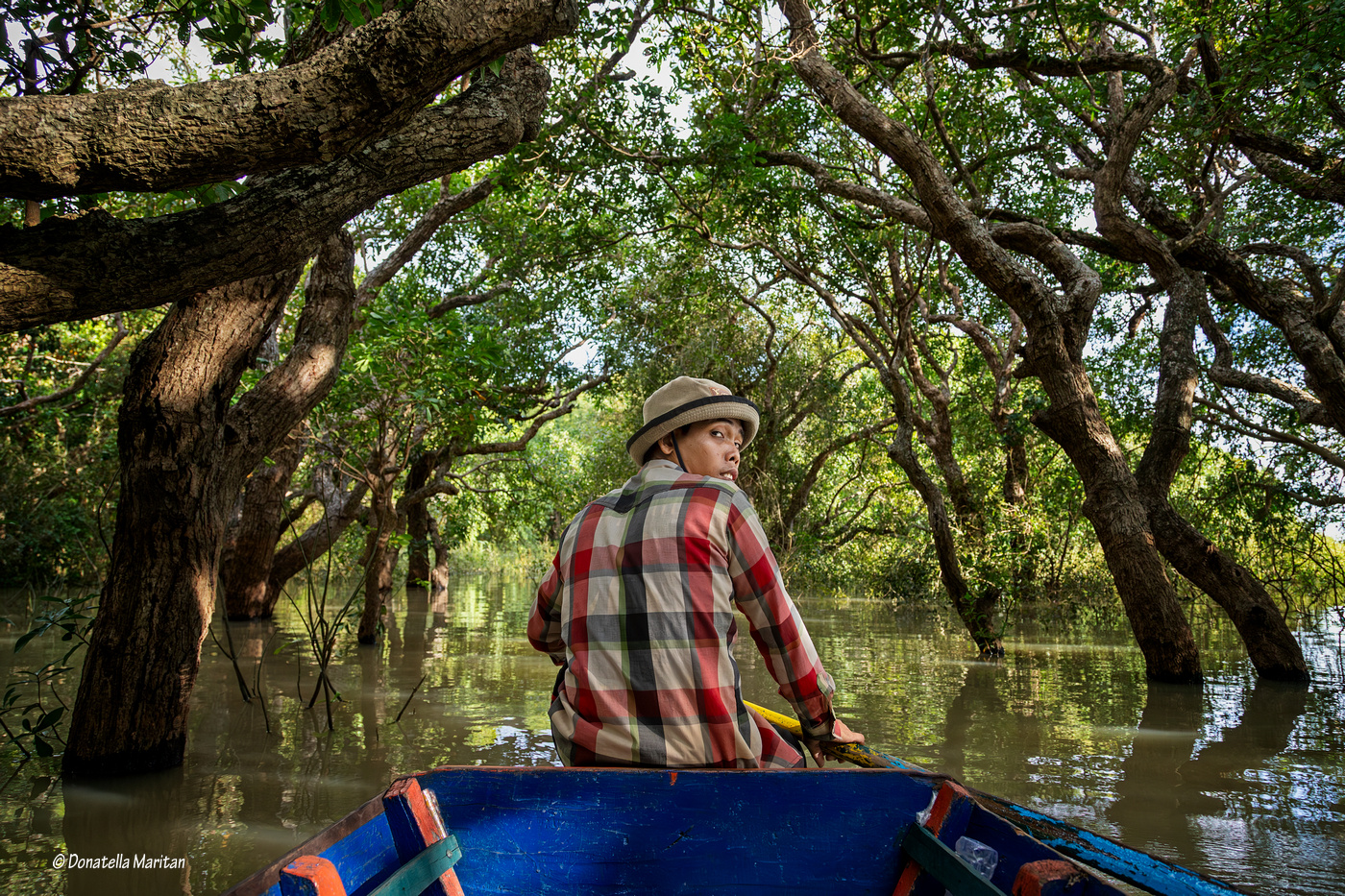 Lago Tonle Sap foresta di Mangrovie