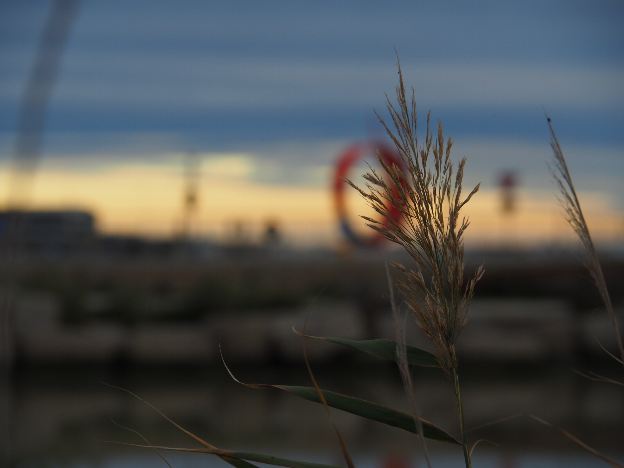 Untitled Photo