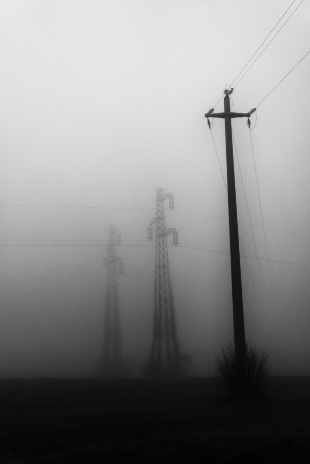 Foggy day