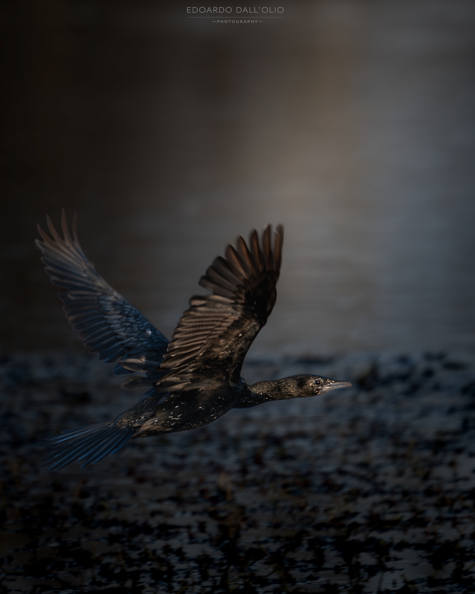 Back in black…