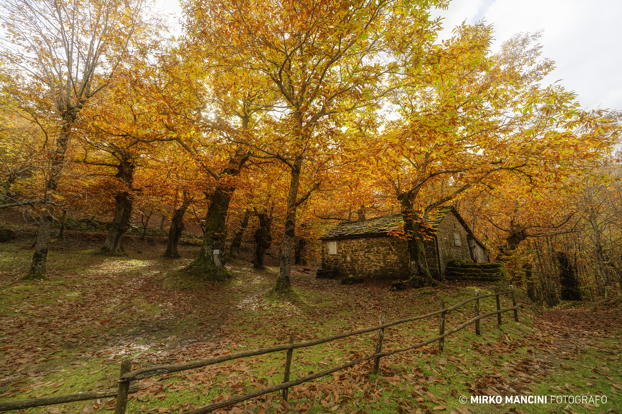 Castagneto, Parco Corno alle Scale