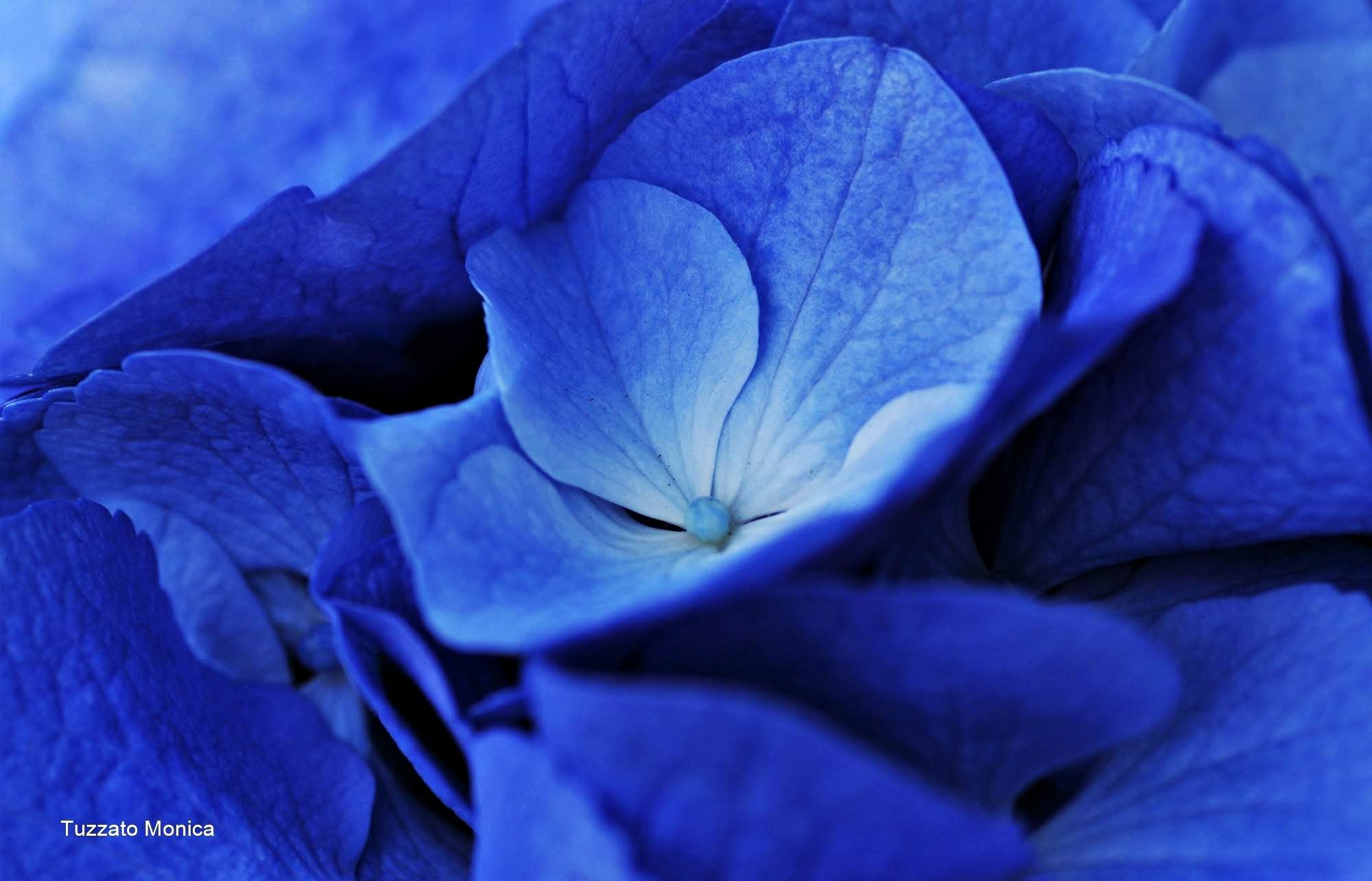 Untitled Photo