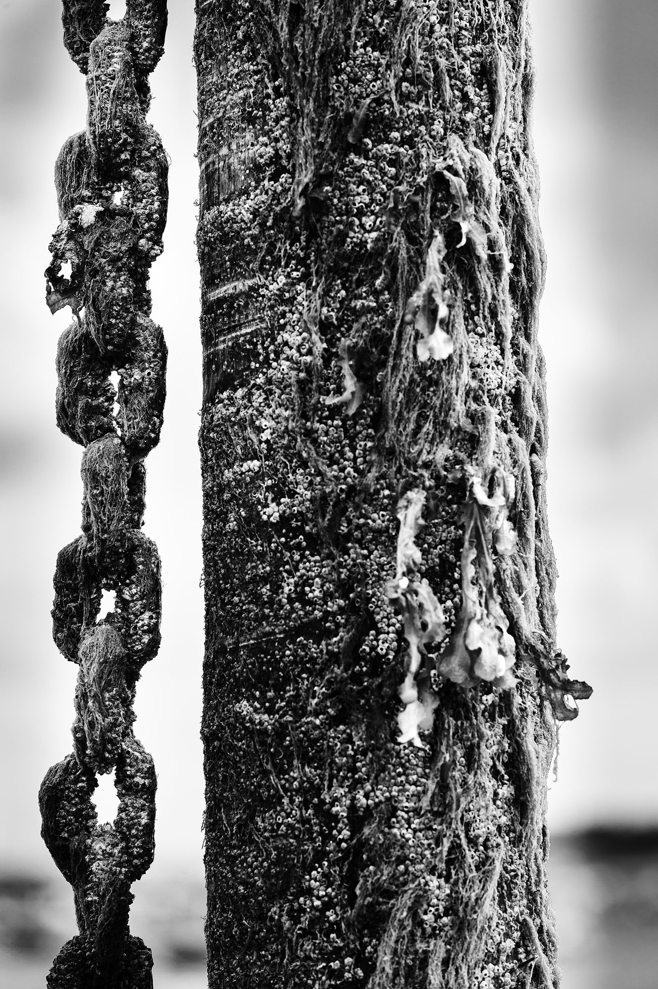 Untitled Photo