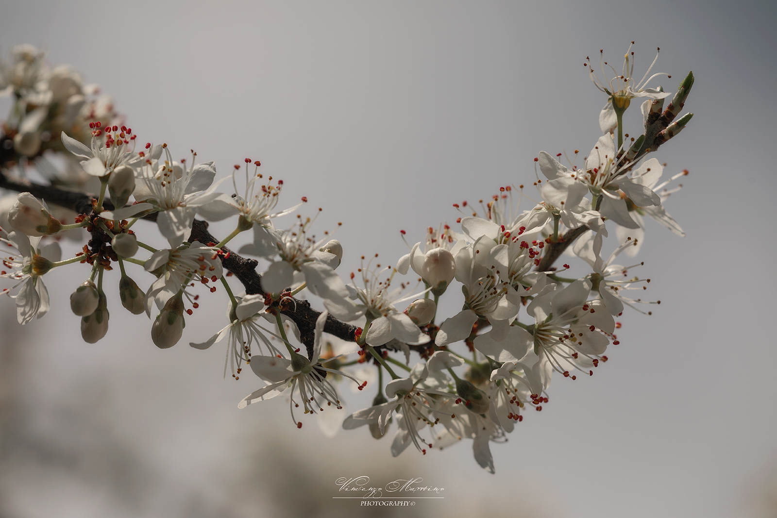 Untitled Photo